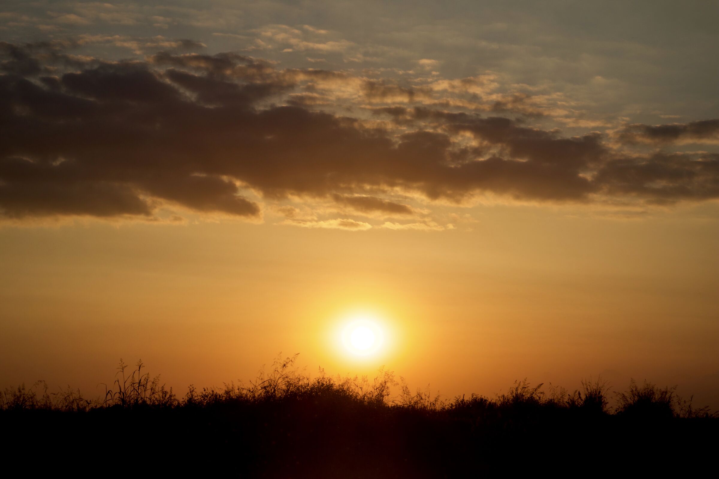 The colors of the sunset