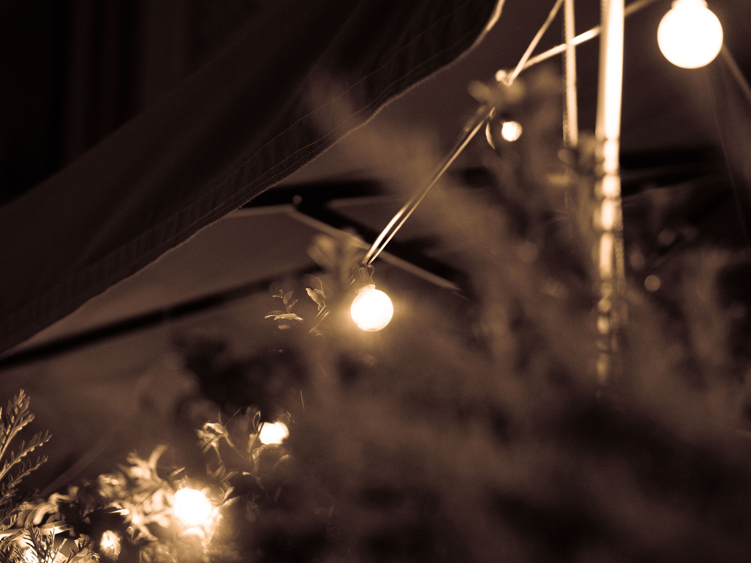 Untitled Photo
