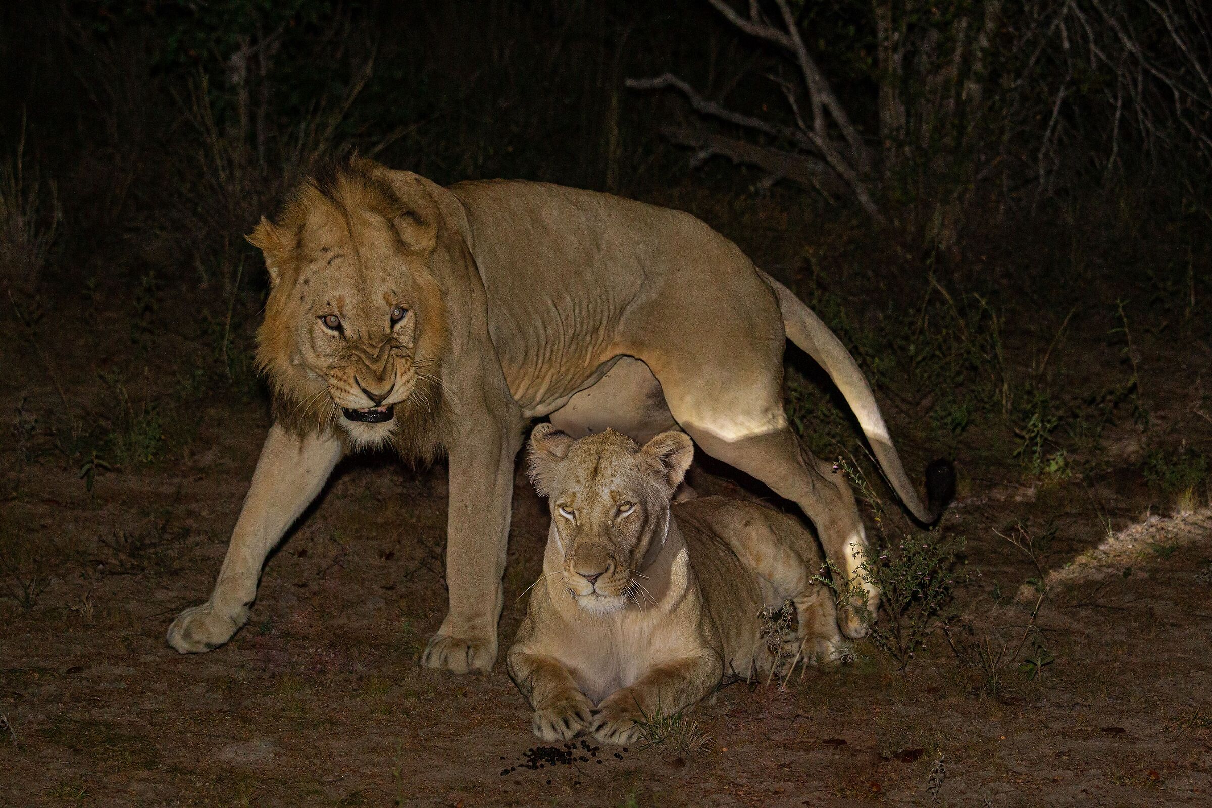 Molto arrabbiato....