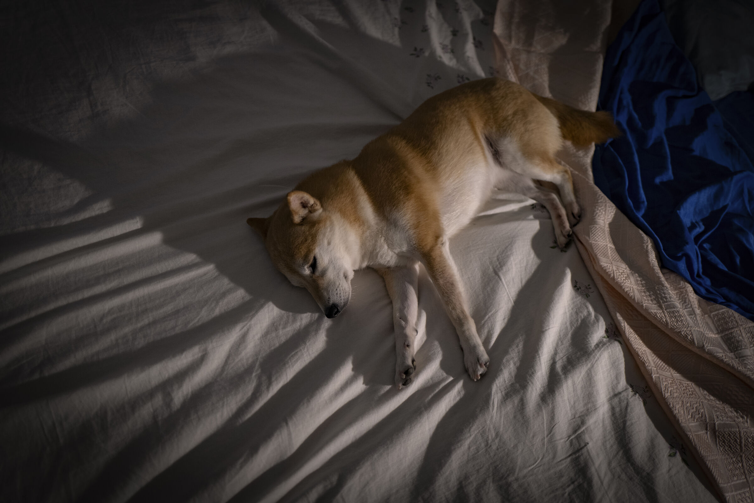 sto riposando... non mi disturbate 1