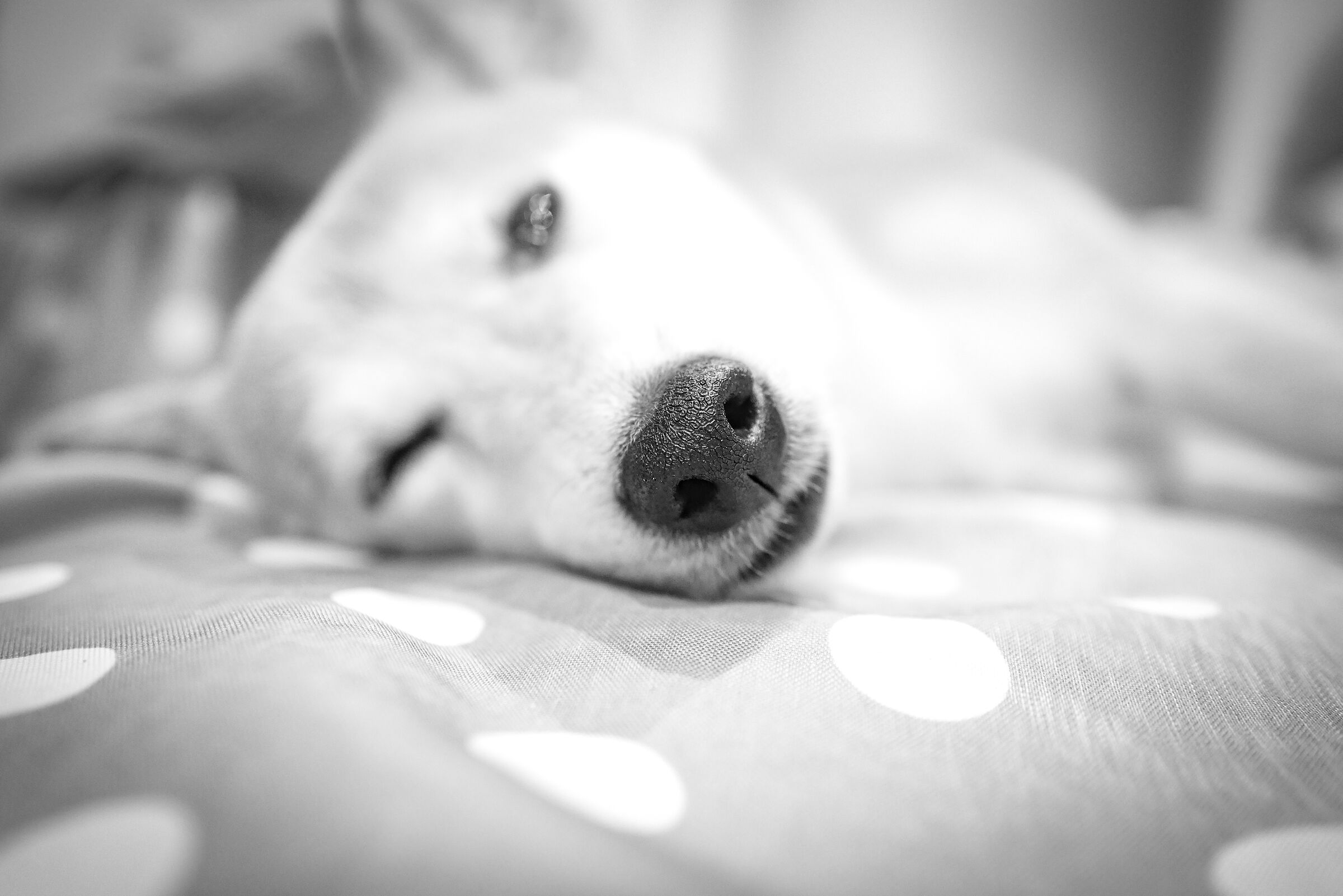 sto riposando... non mi disturbate 5