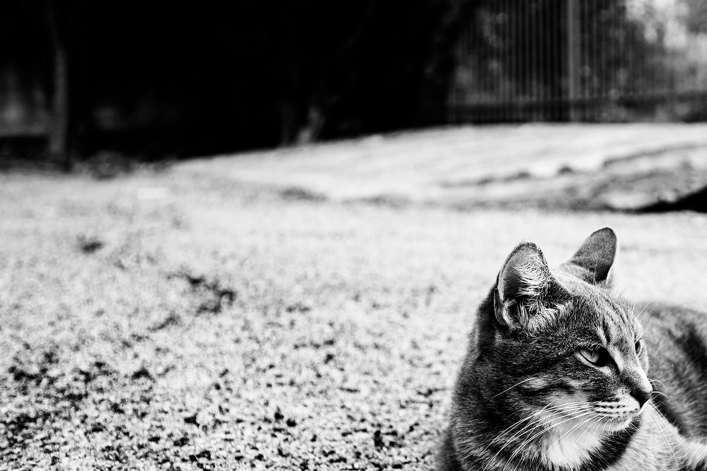 Untitled Photo