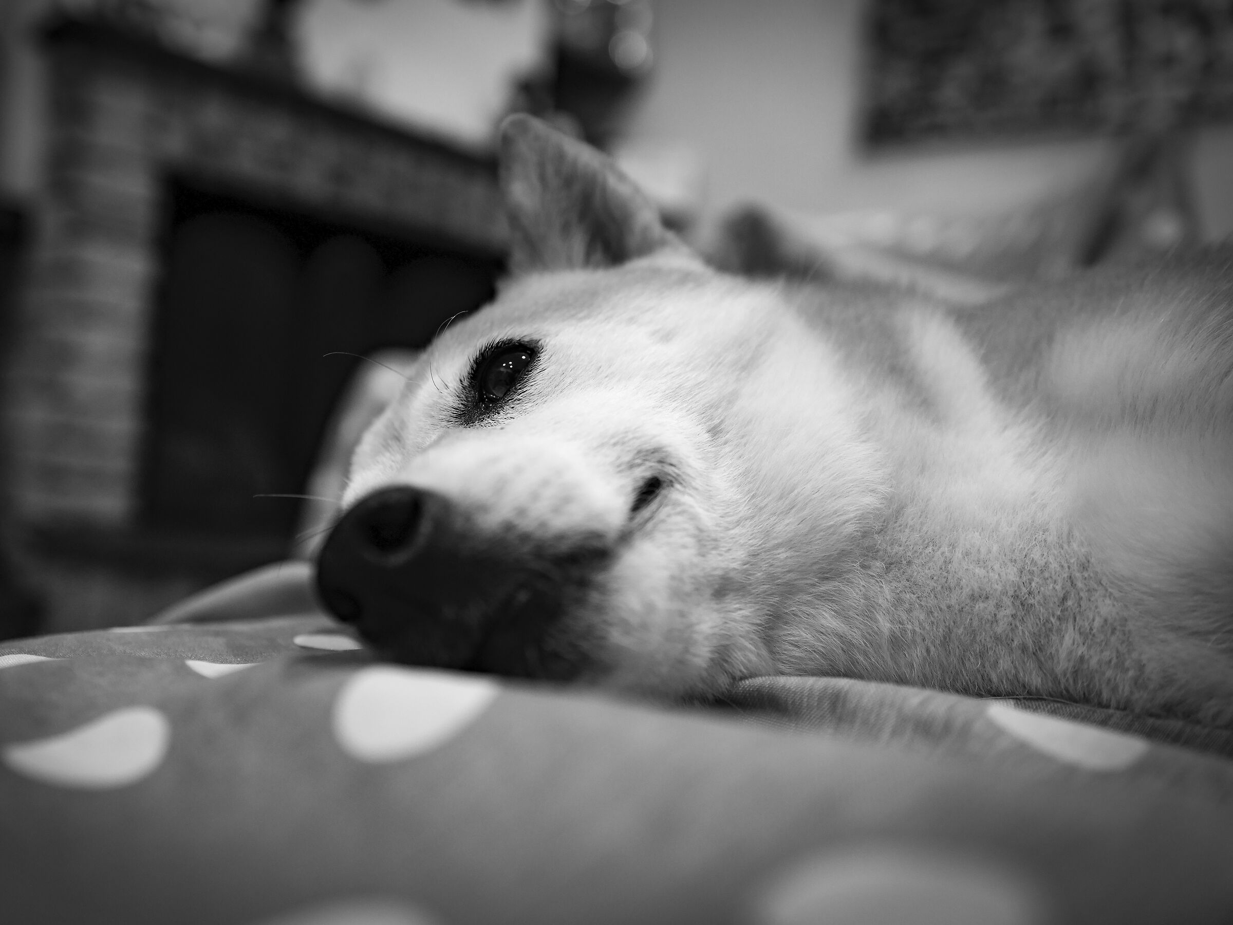 sto riposando... non mi disturbate 6