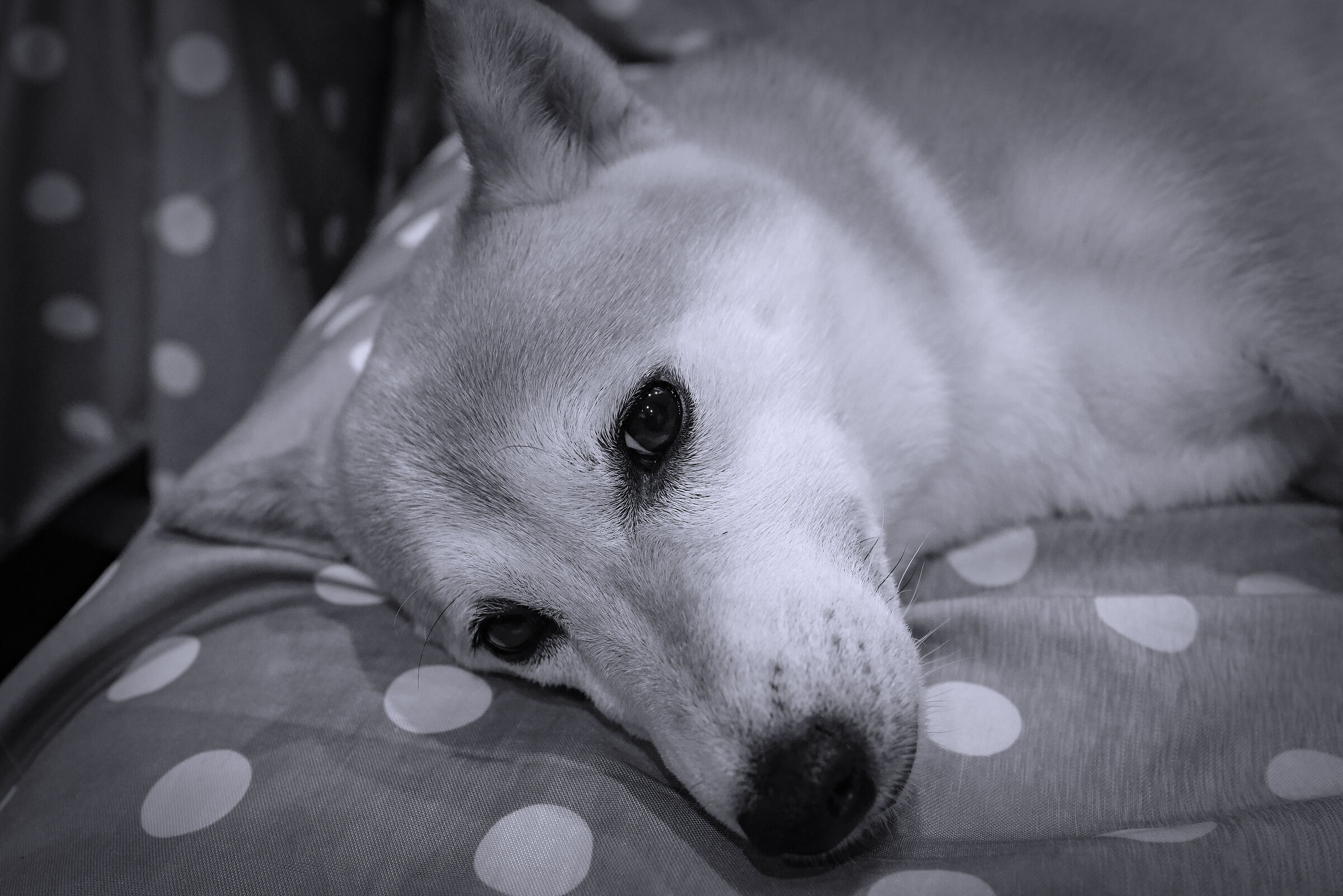 I'm resting... don't bother me 7
