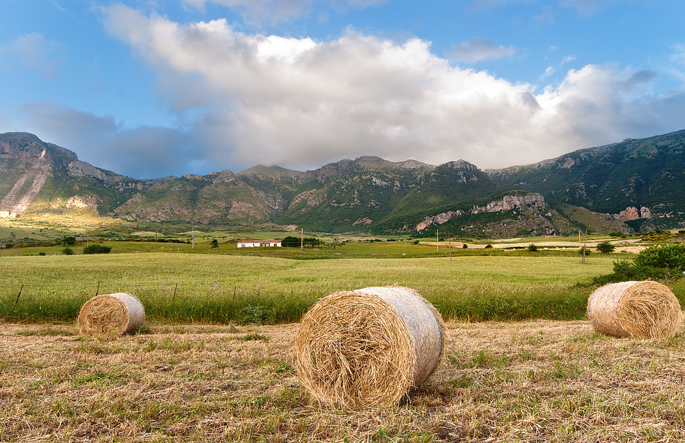 Paesaggio madonita di fine estate