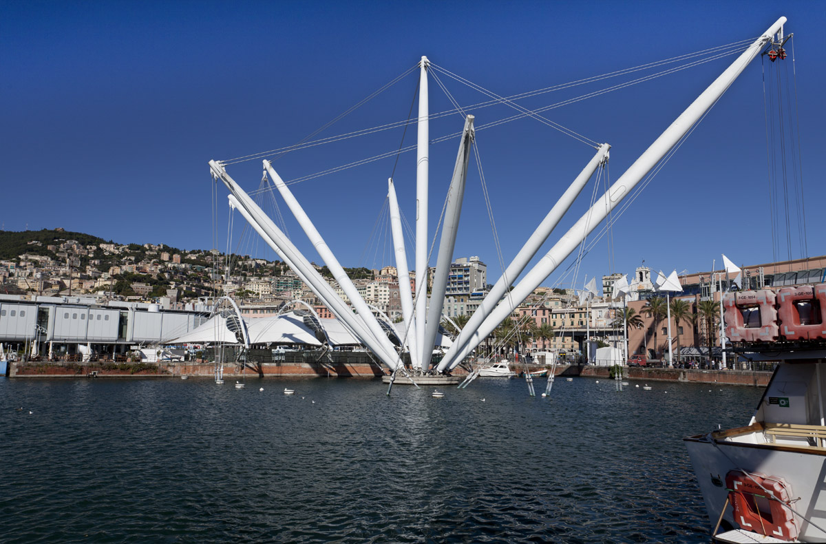 The Aquarium of Genoa