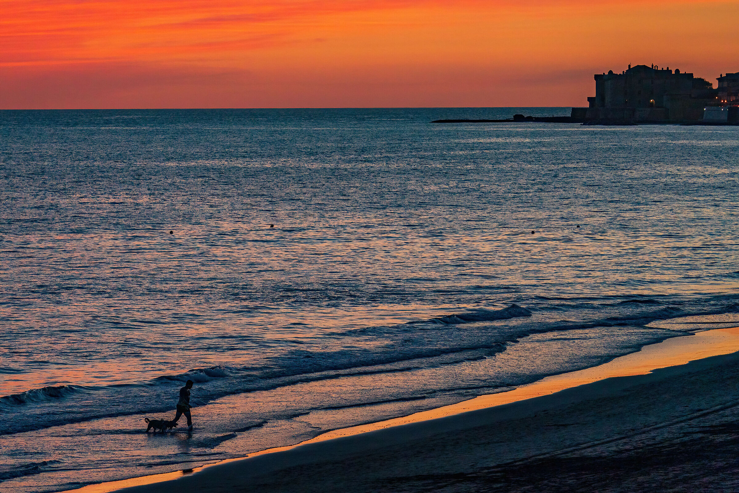 Friendship of early autumn