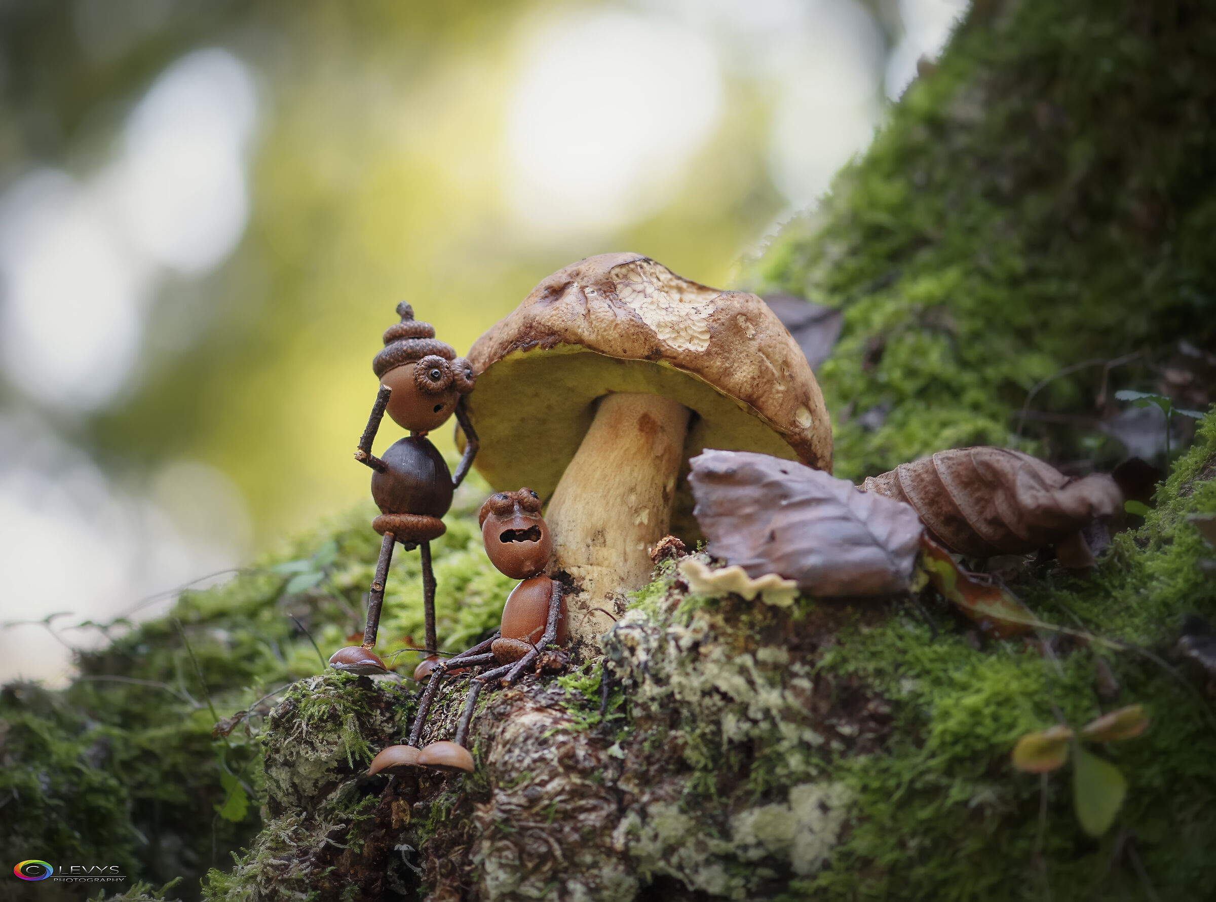 Che bella cosa essere nato vicino a te