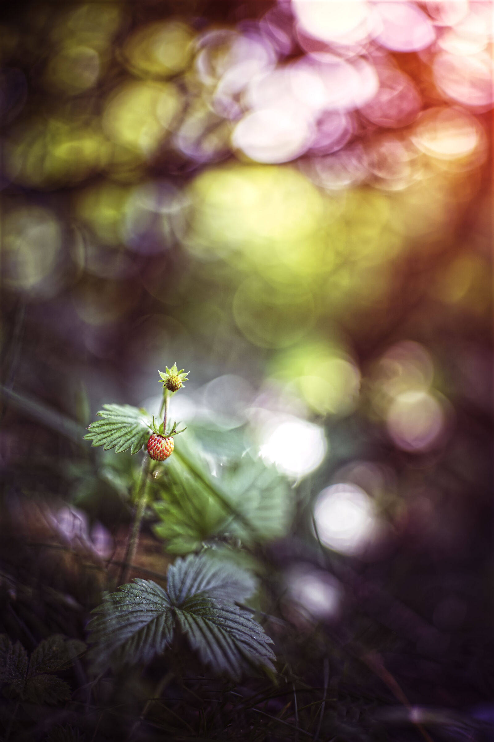 Untitled Photo