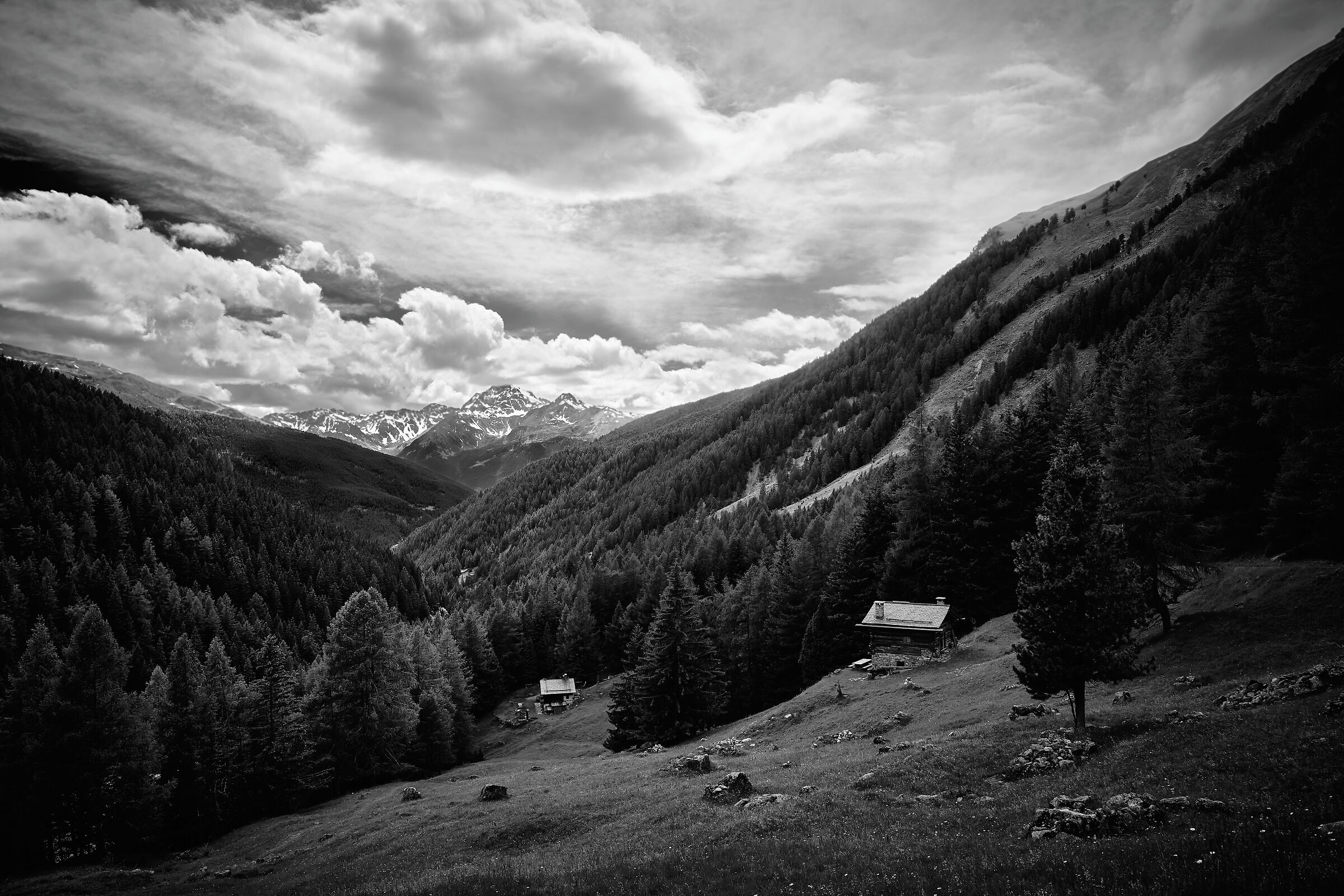 Parco Nazionale dello Stelvio