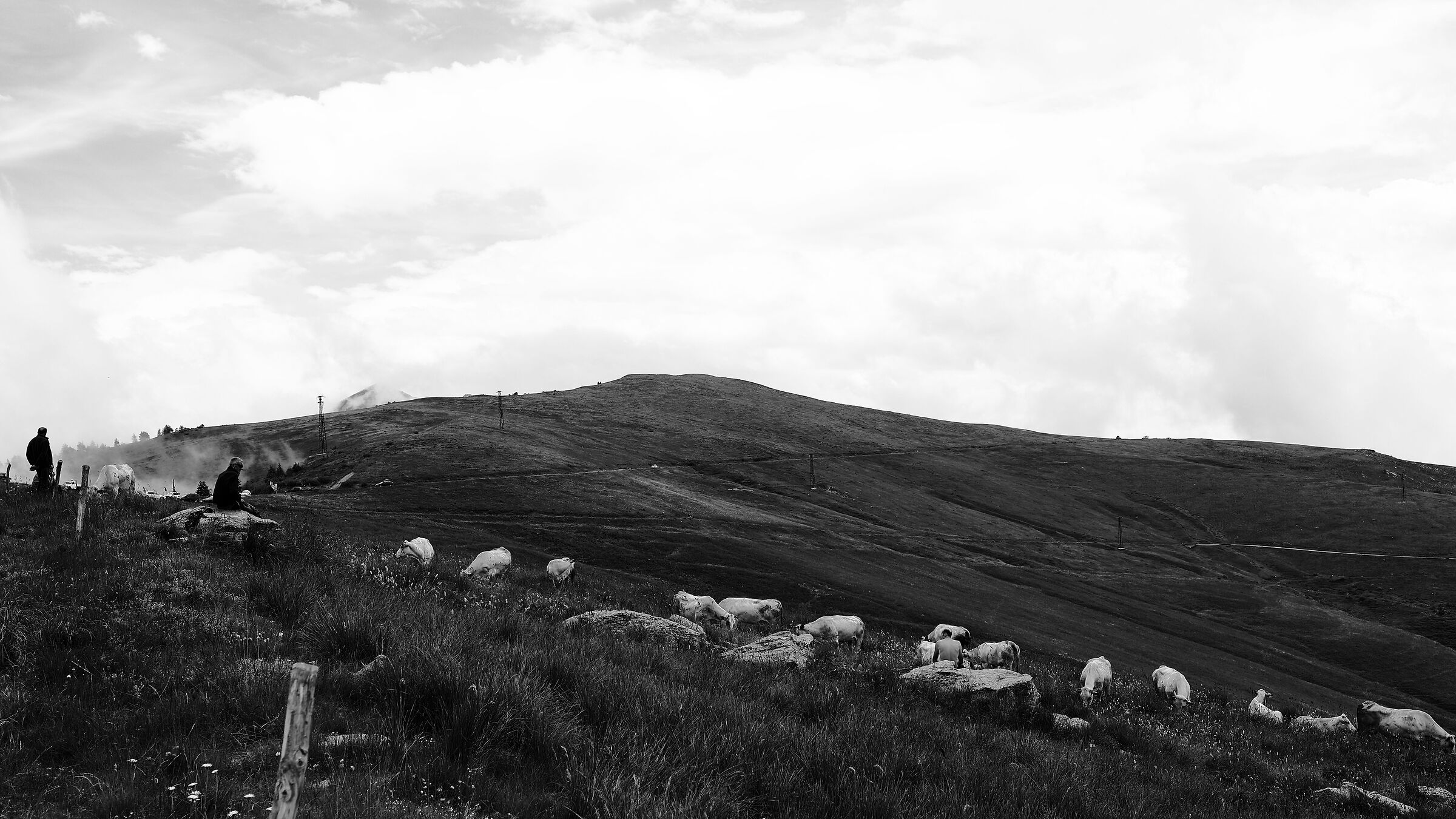 Colle Sampeyre - Pascoli