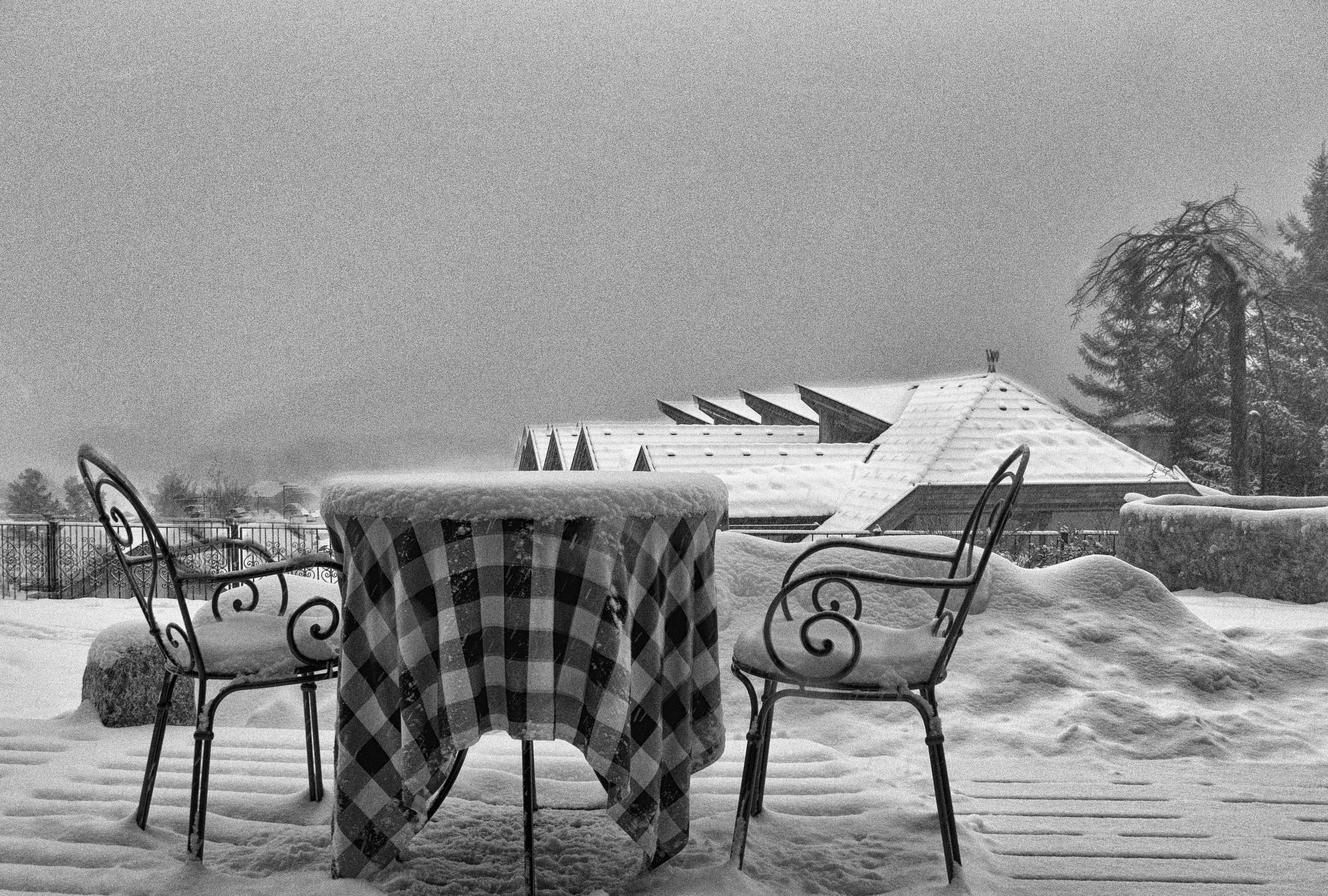 in attesa della primavera