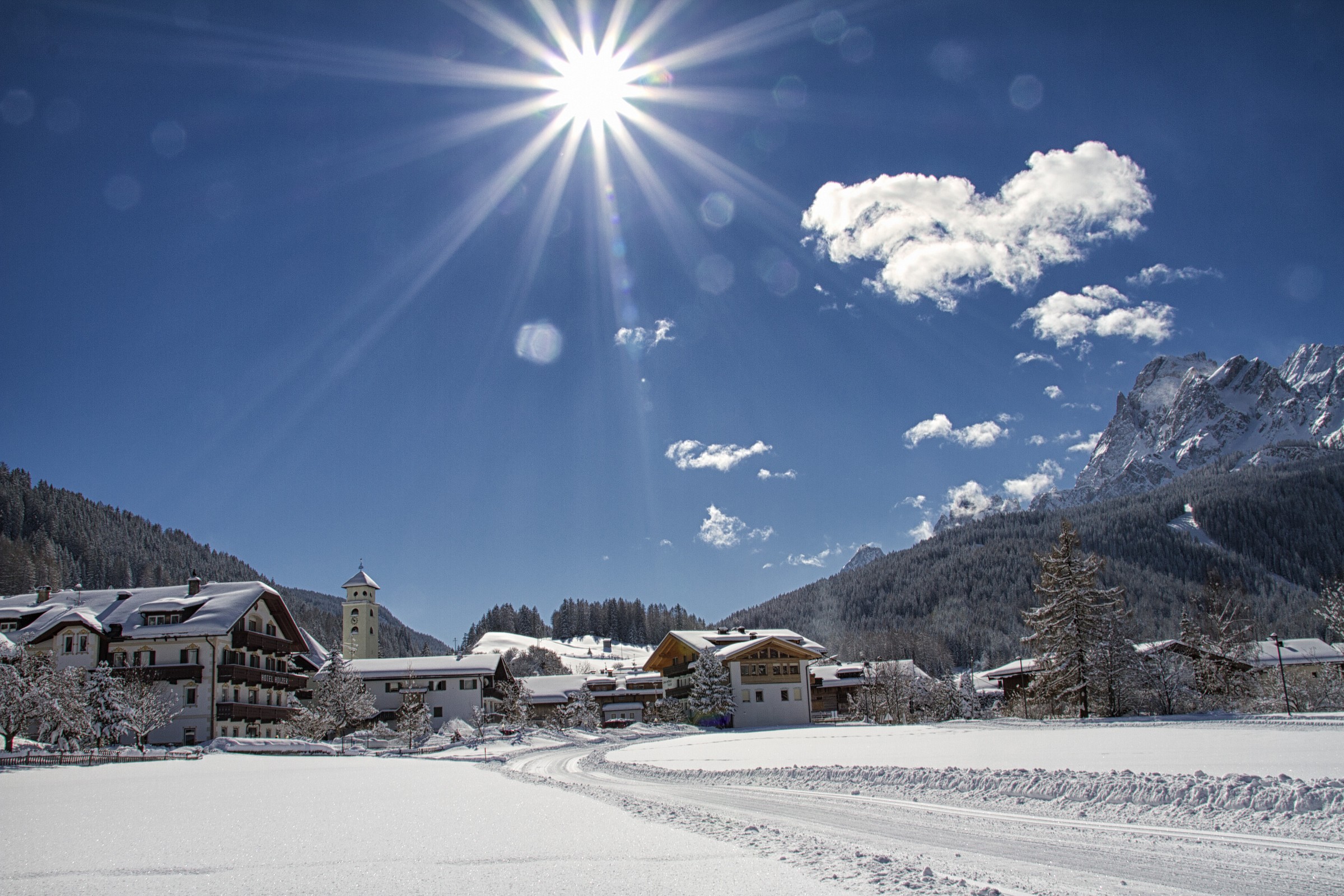 Moso dopo la nevicata