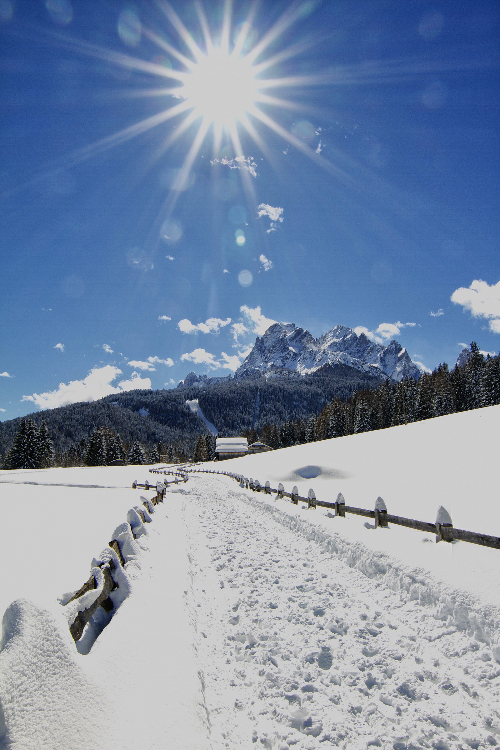 sentiero verso la Croda Rossa di Sesto