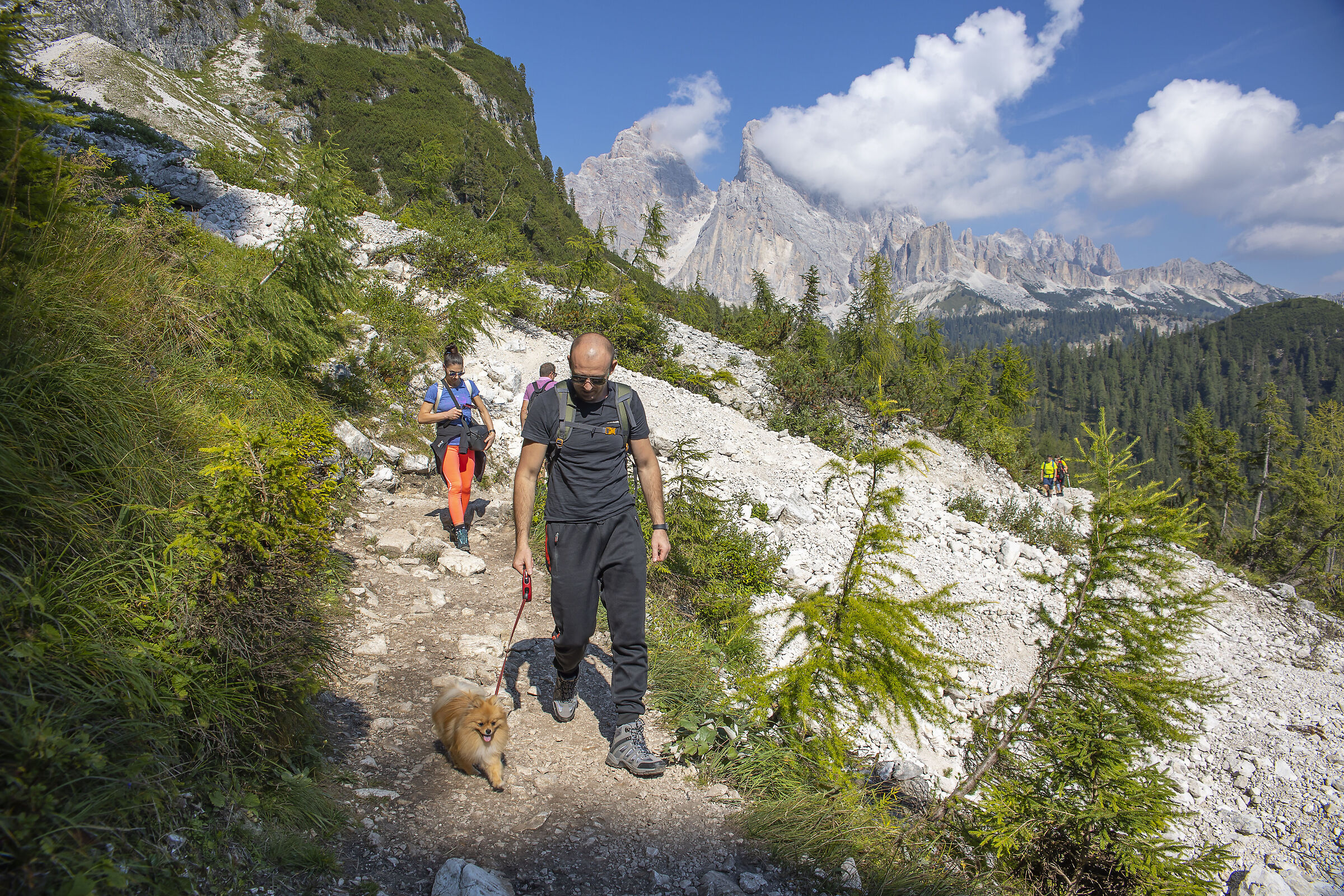 Un volpino x Sorapis