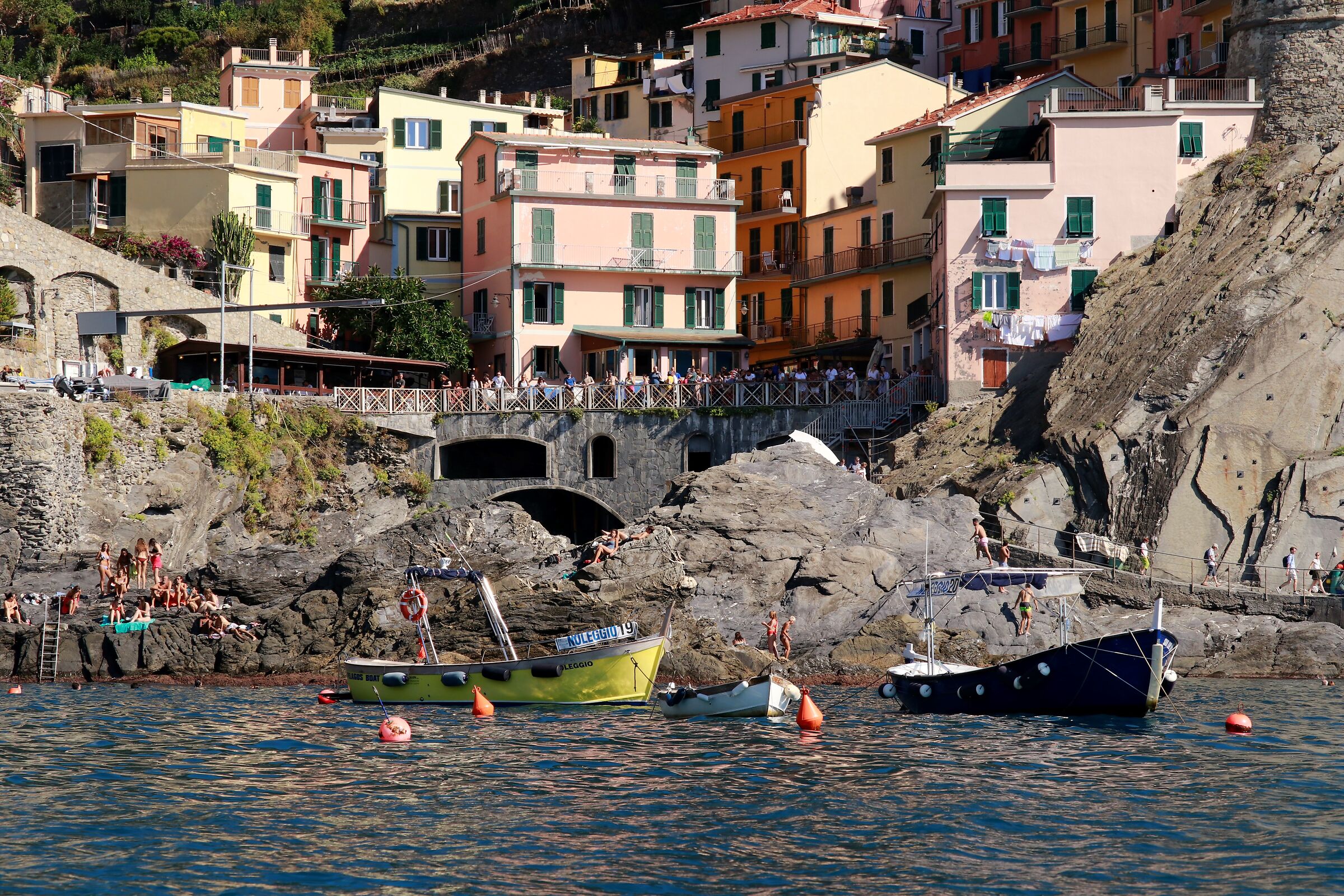 Manarola ( Cinque Terre)