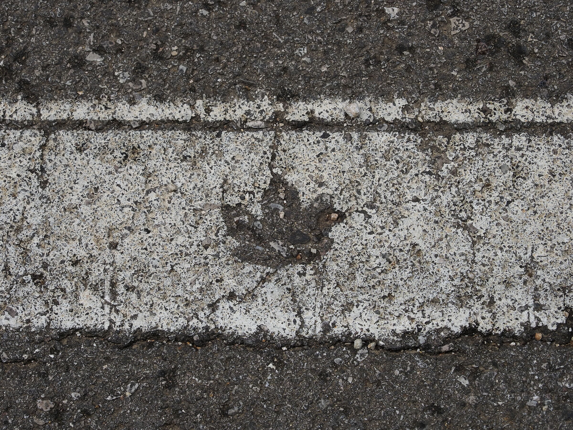 footprint