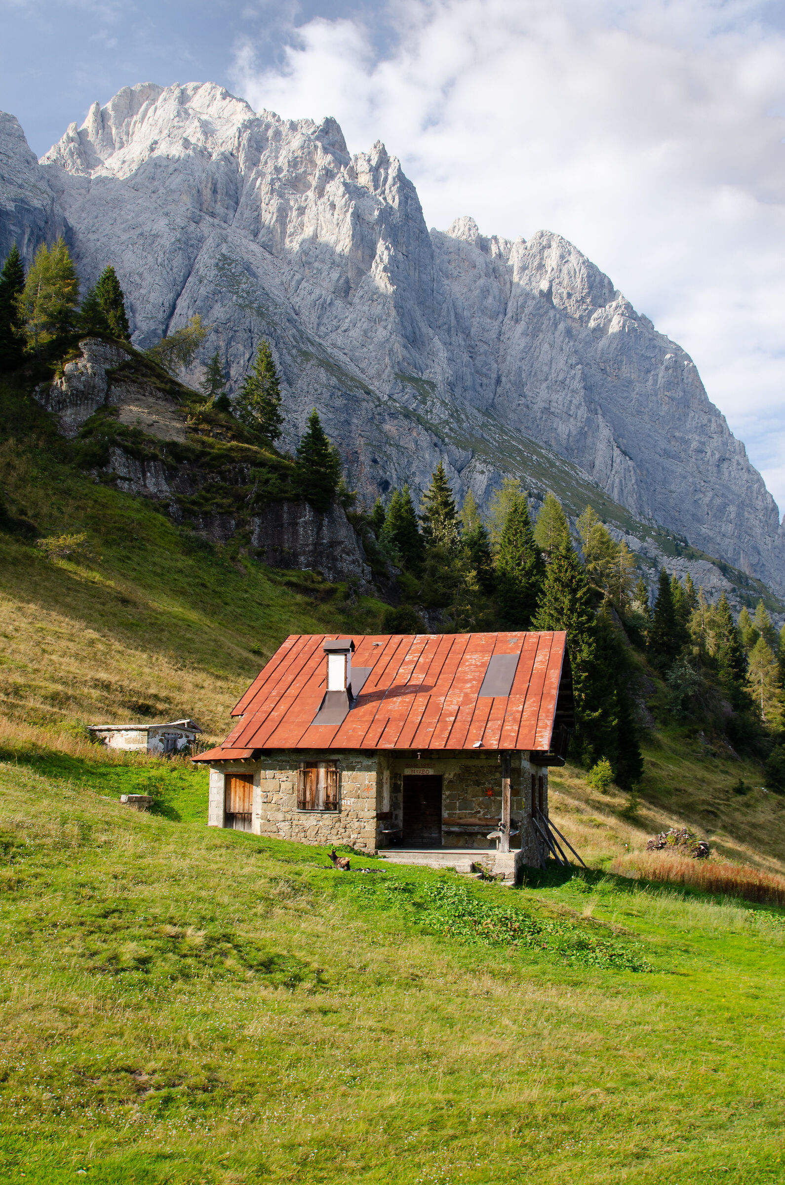 Alpine colors