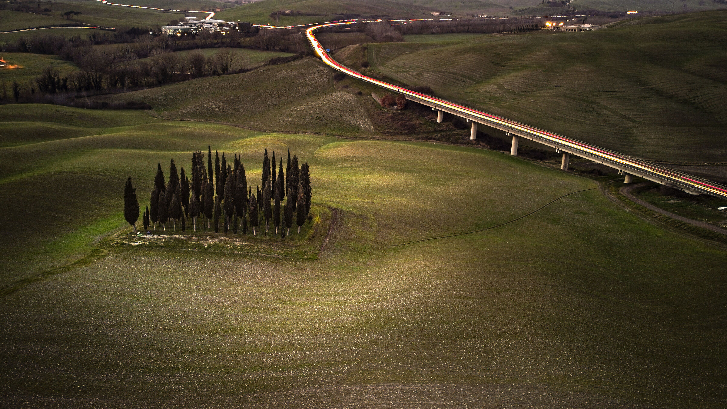 Cypresses of San Quirico