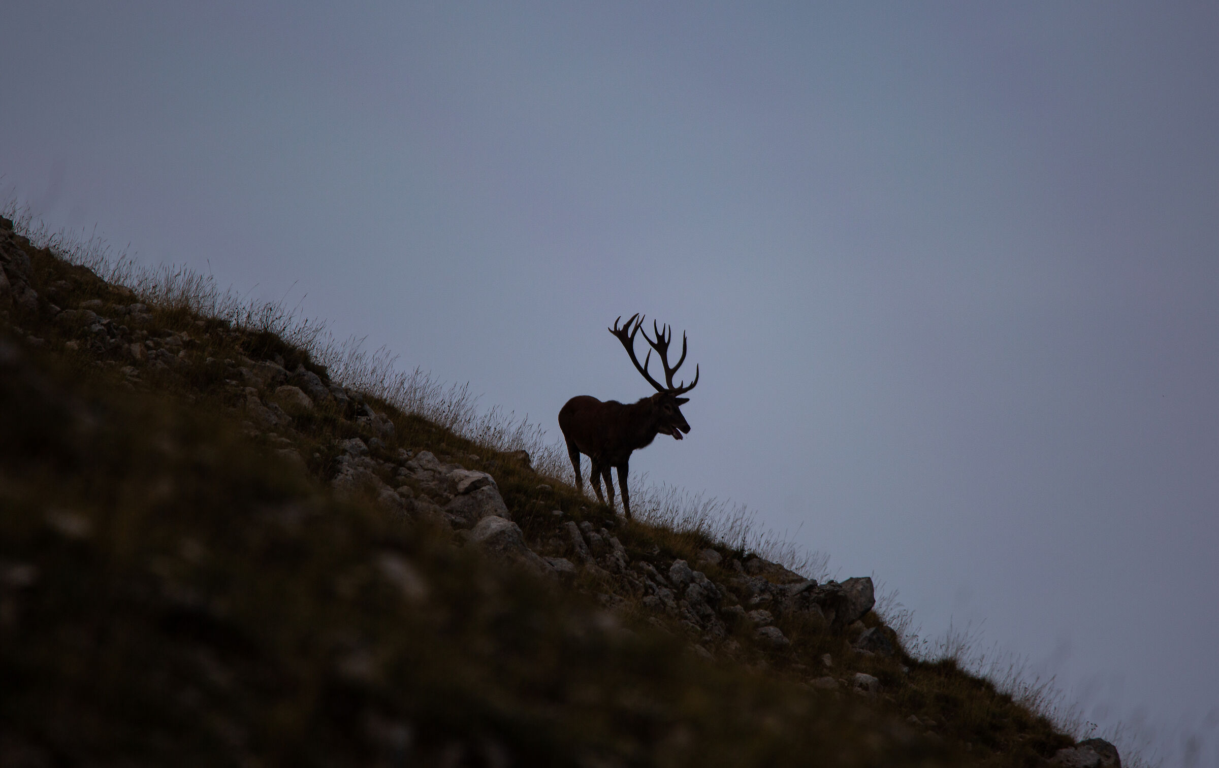 Ultimi richiami prima del tramonto