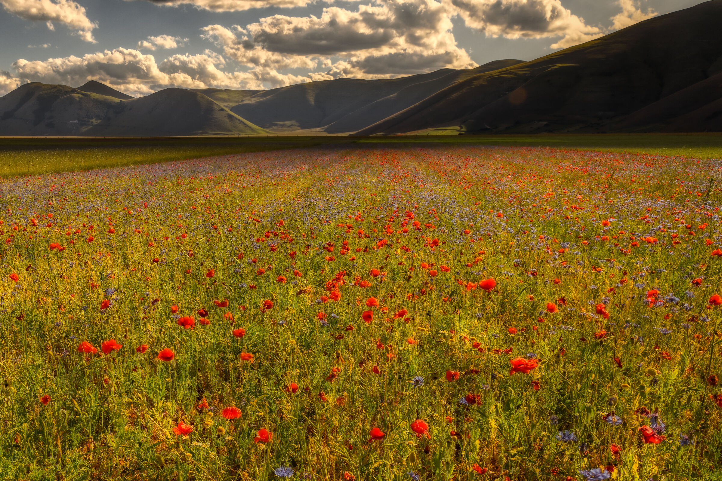 Castelluccio 5