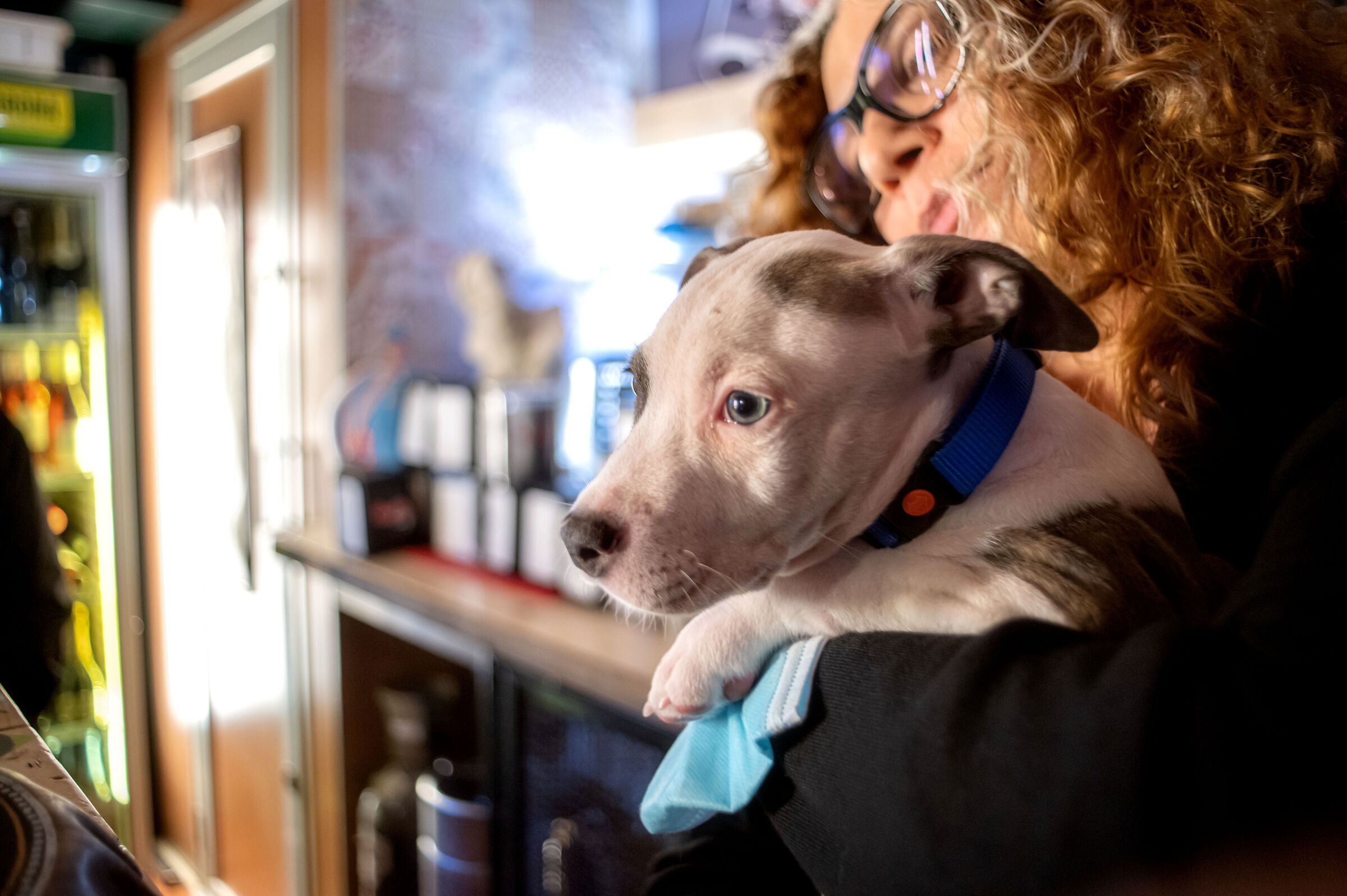 prova di un exakta 28mm 2.8 macro