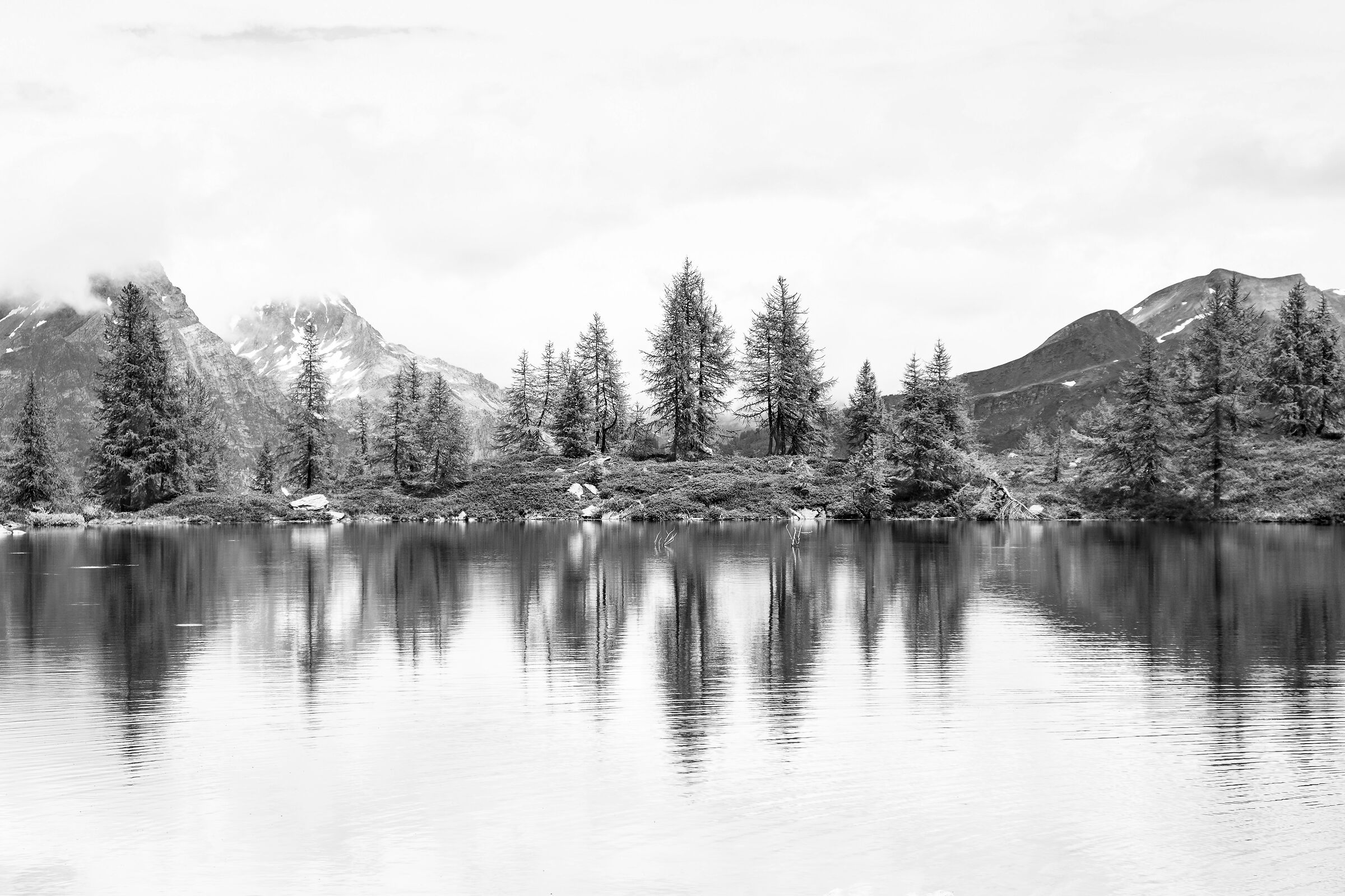 Spunti di riflessione