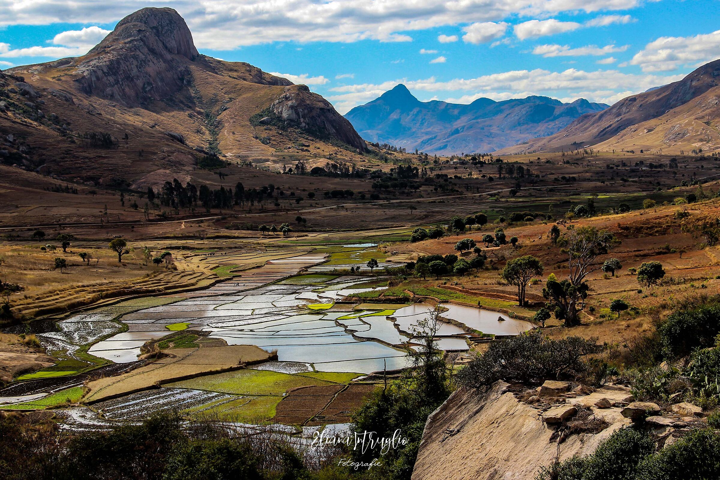 Malagasy landscape with rice paddies