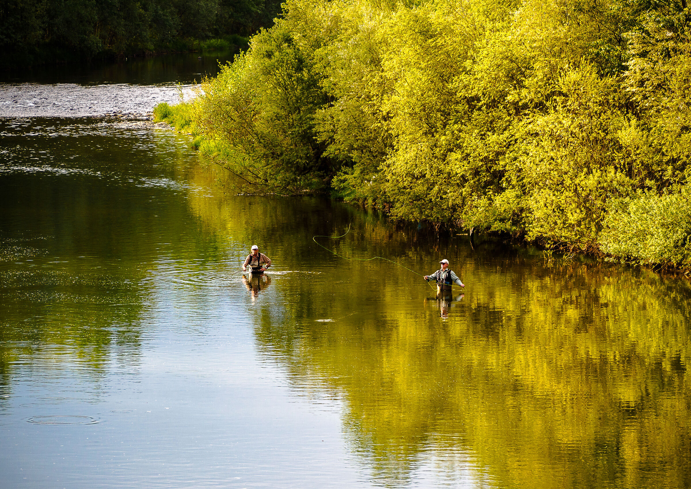 Green river , almost yellow
