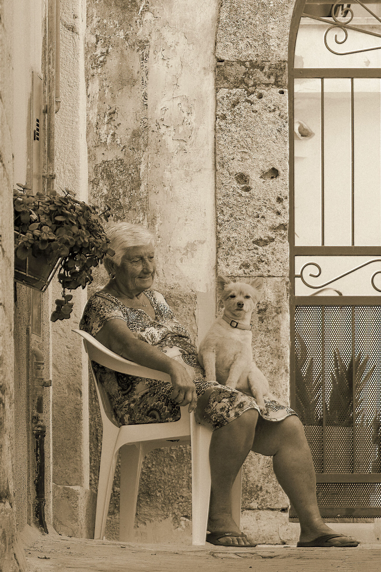 La dolcezza in uno sguardo