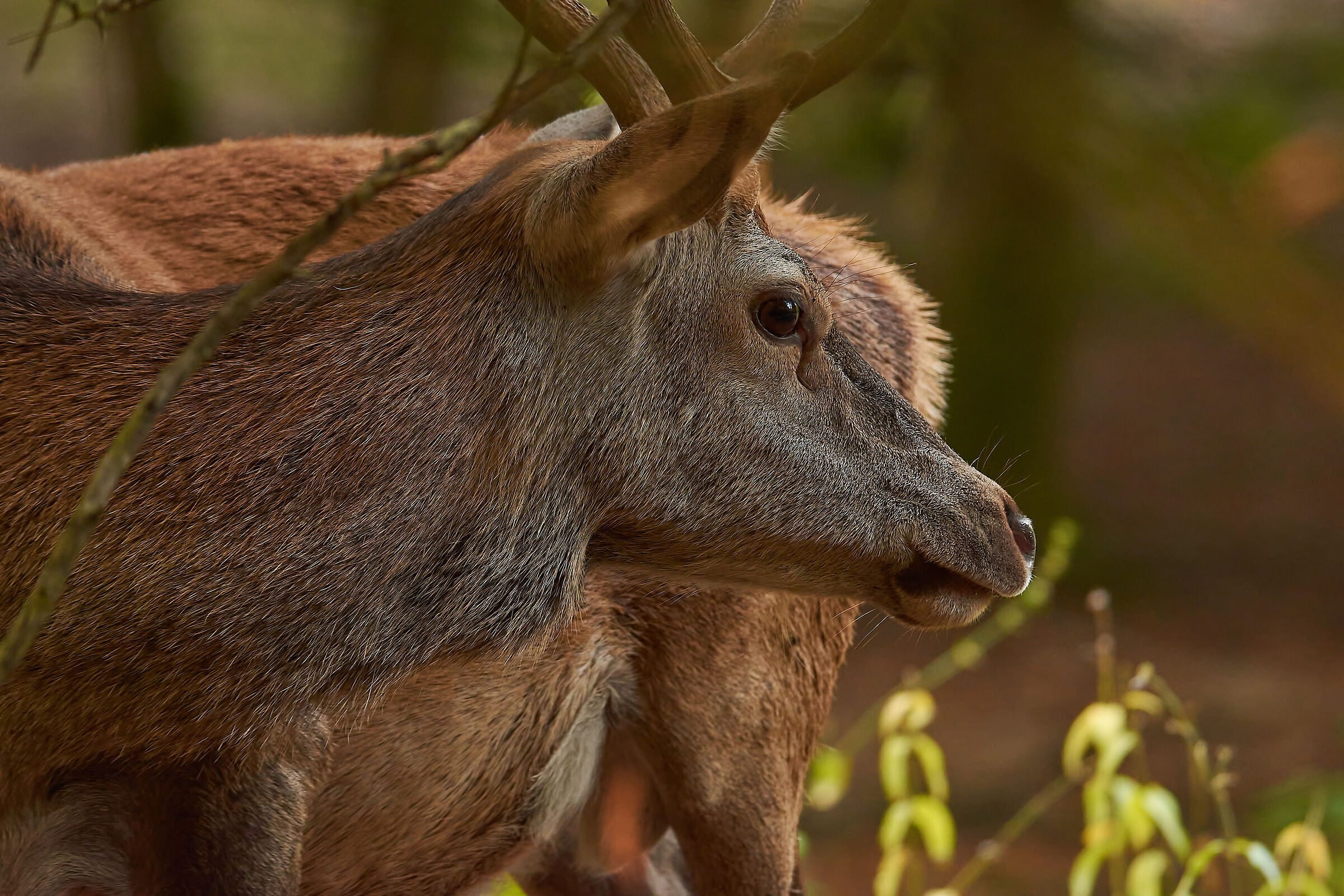 Quando ti senti osservato