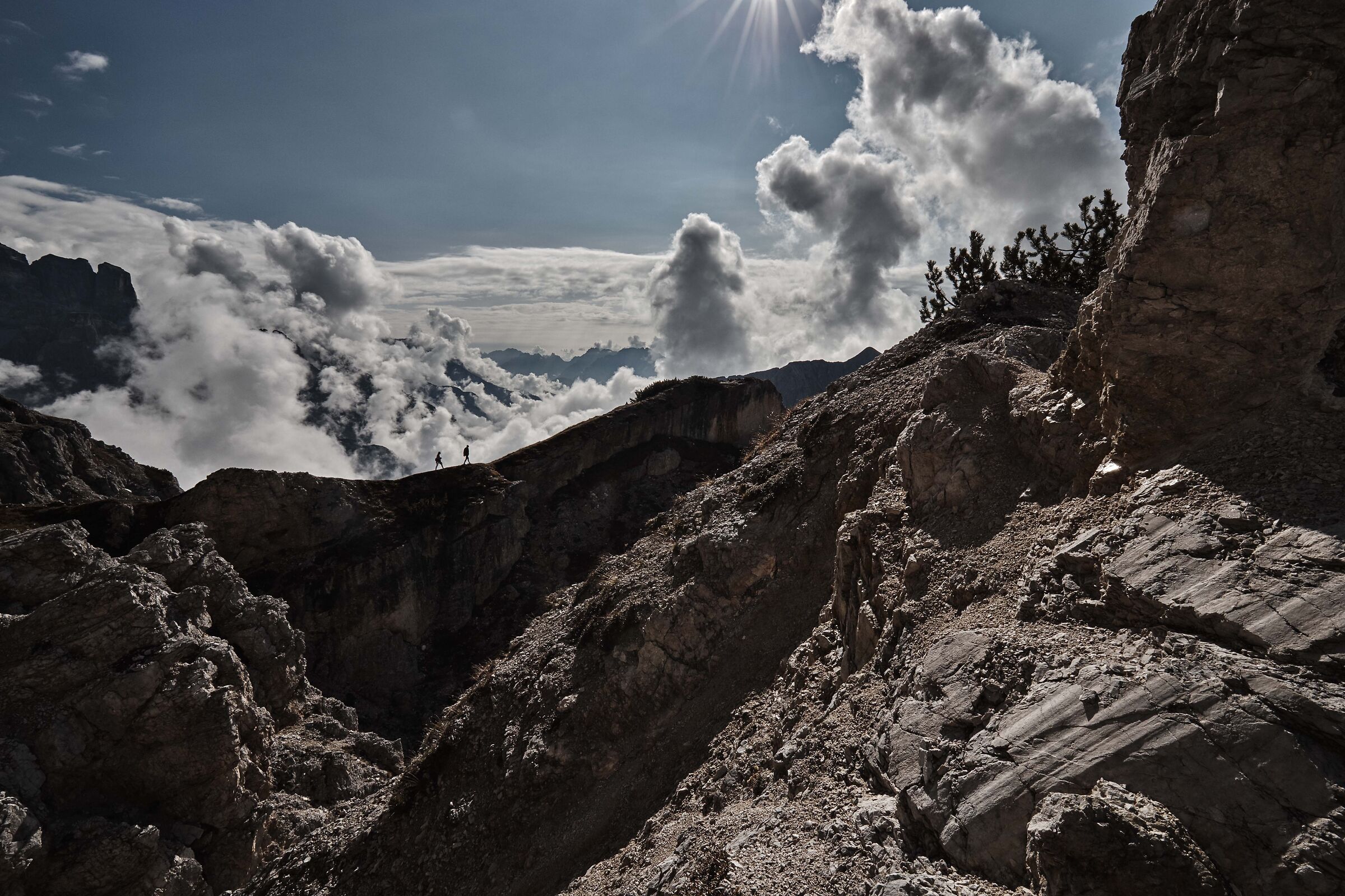 indovina dove stanno andando...