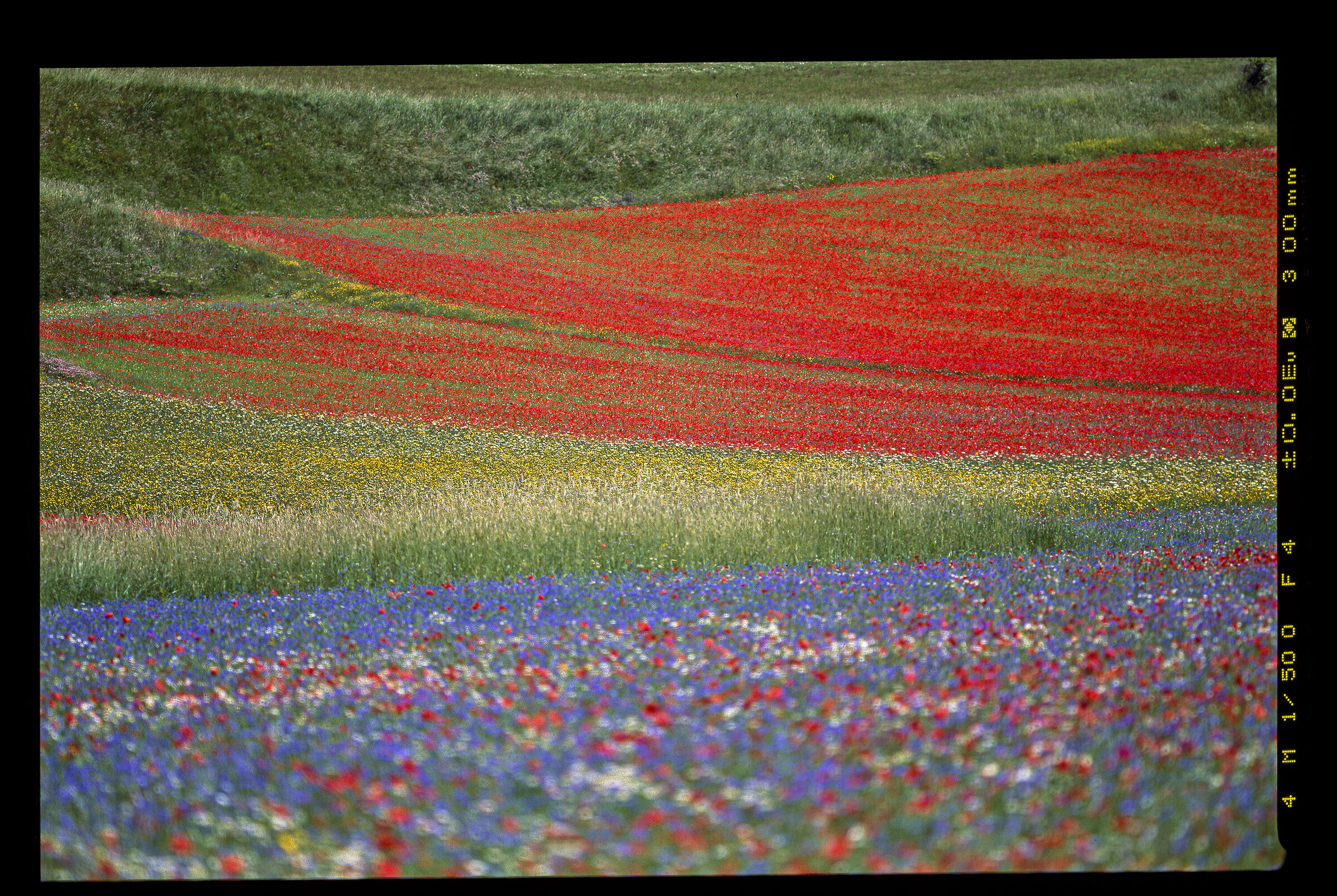 castelluccio  forever