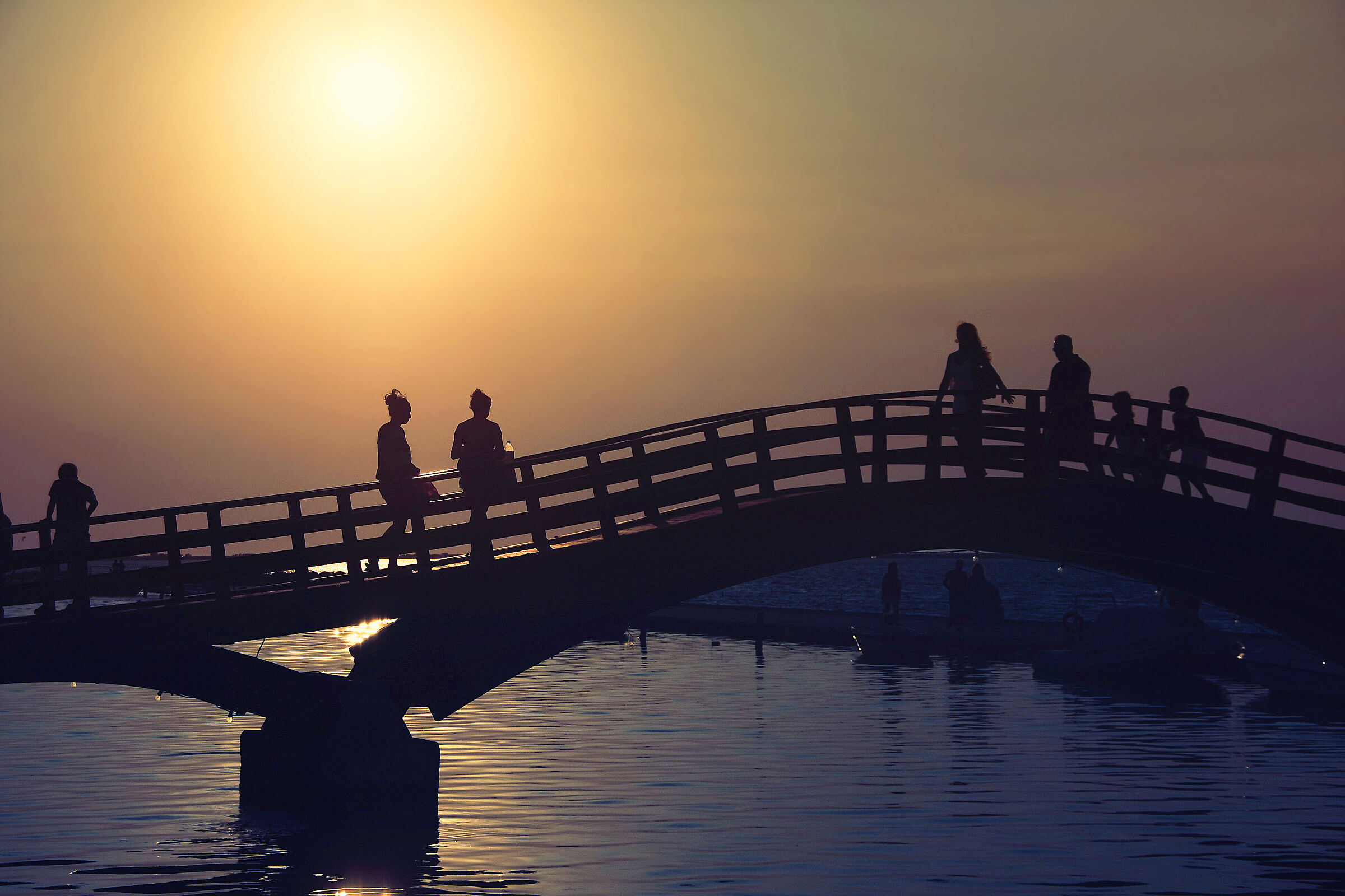 ~~ a magical sunset ~~