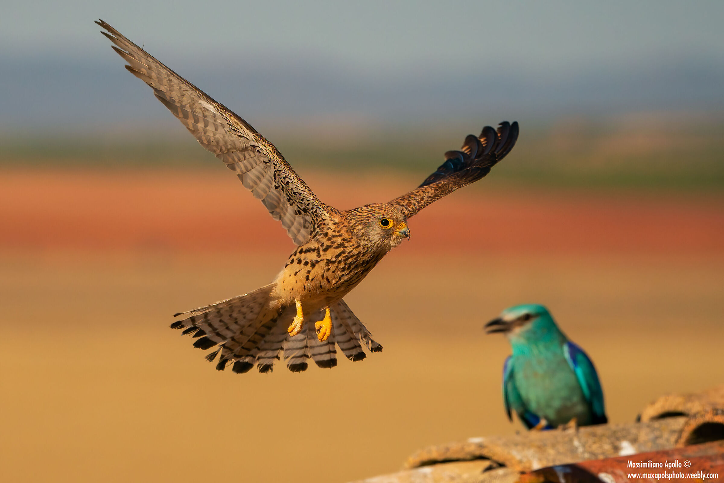 "traffico sui tetti..."