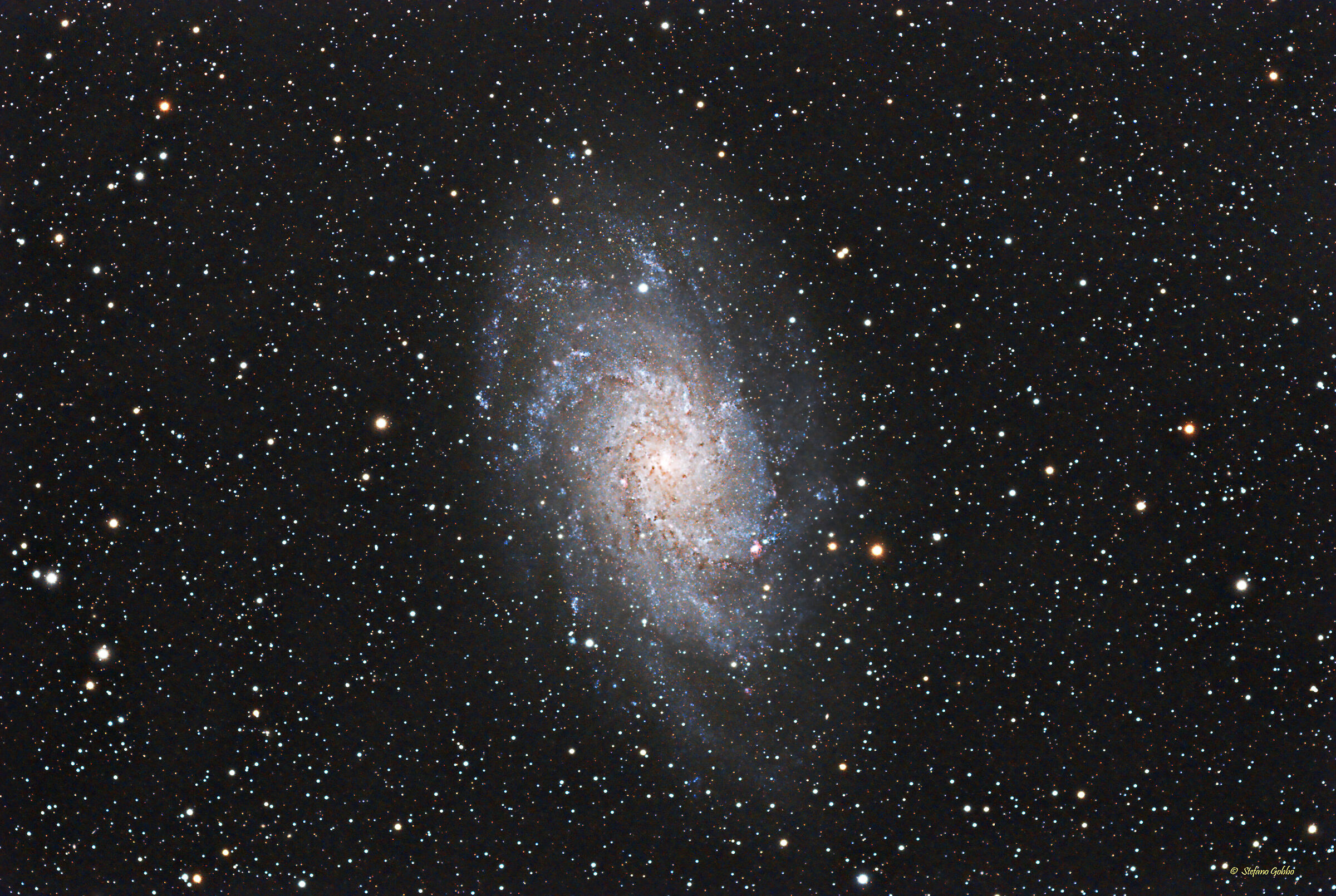 M 33 Galassia Triangolo