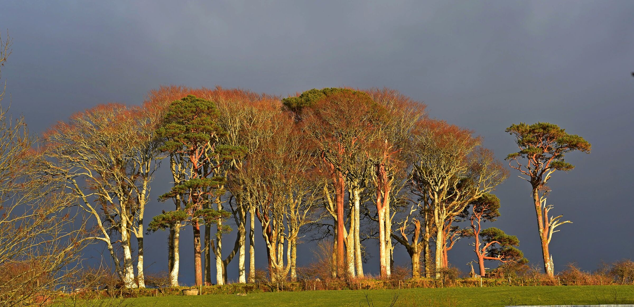 Parco nazionale di Killarney, co. Kerry