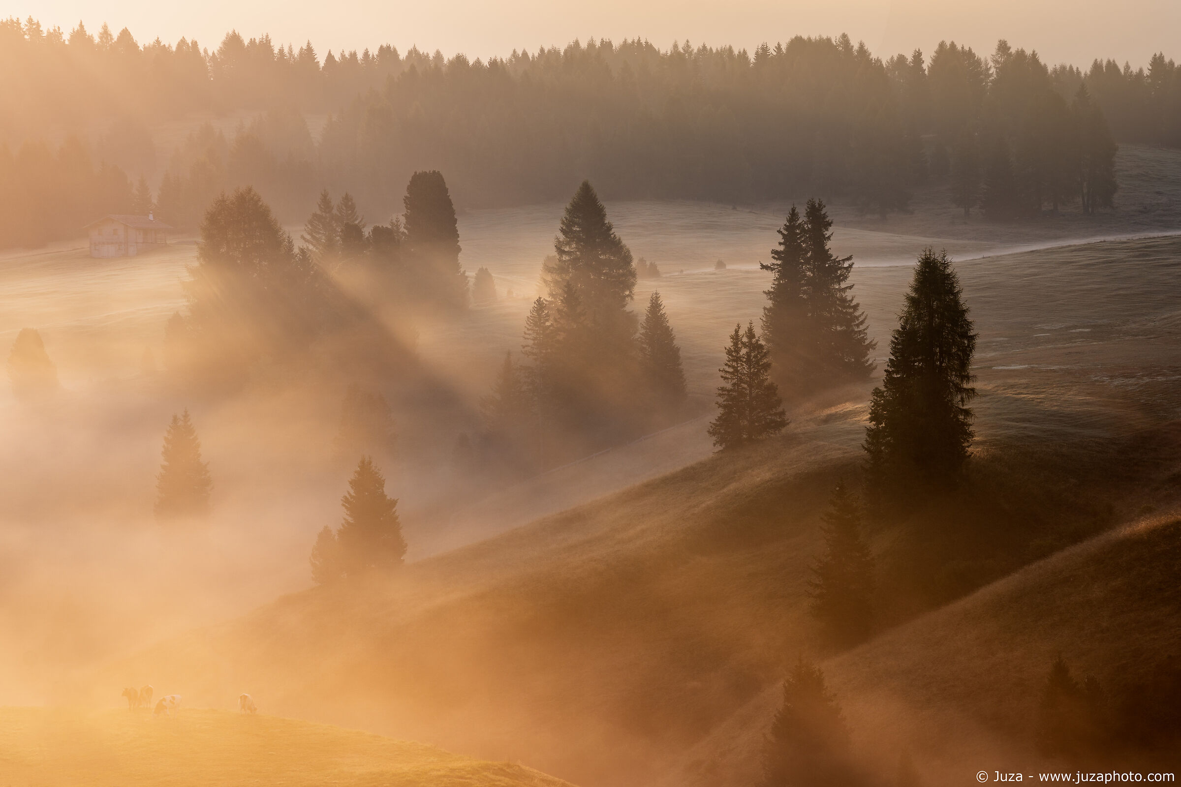 Luce dorata sull'altopiano