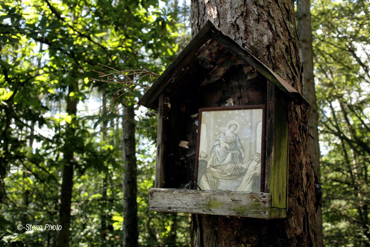 Along the road to Campestrin