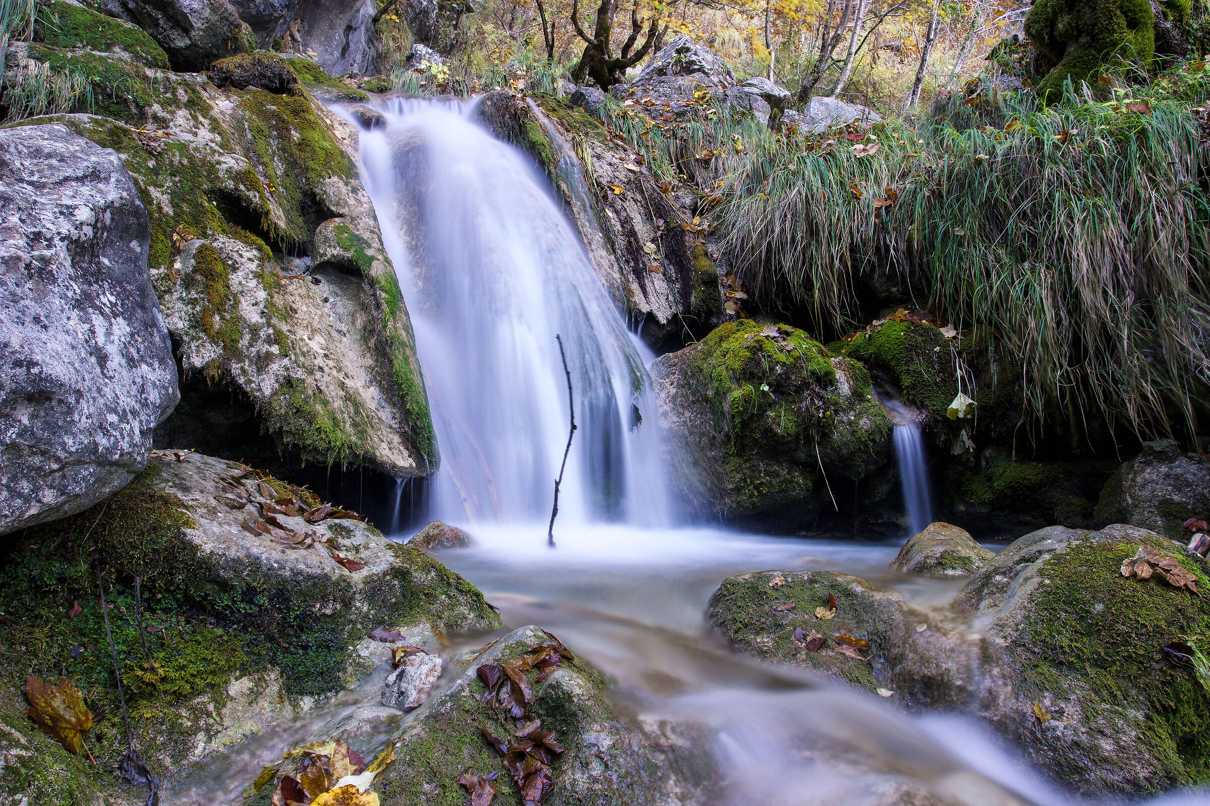Riserva Naturale Zompo Lo Schioppo