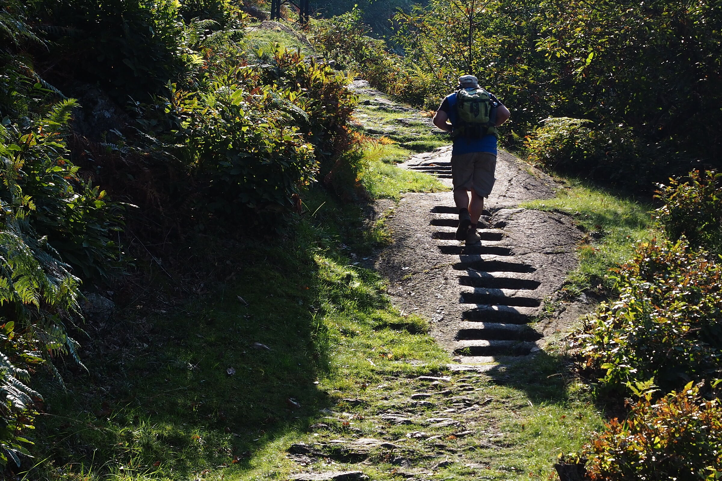 Sentiero del Viandante