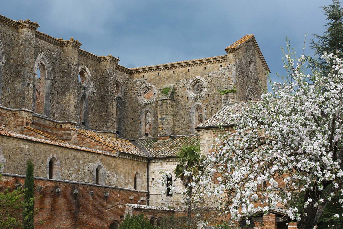 Spring in San Galgano