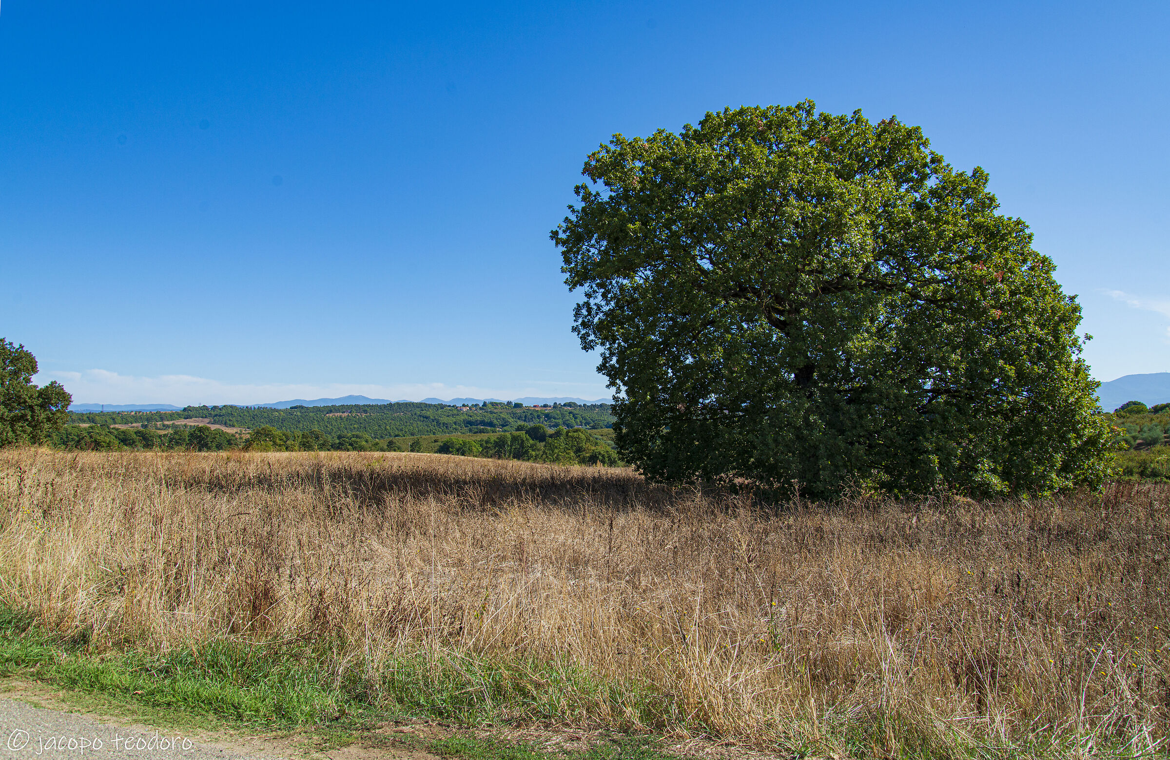 Paesaggio di fine estate