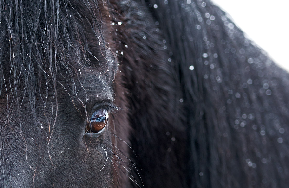 La neve tra i capelli...