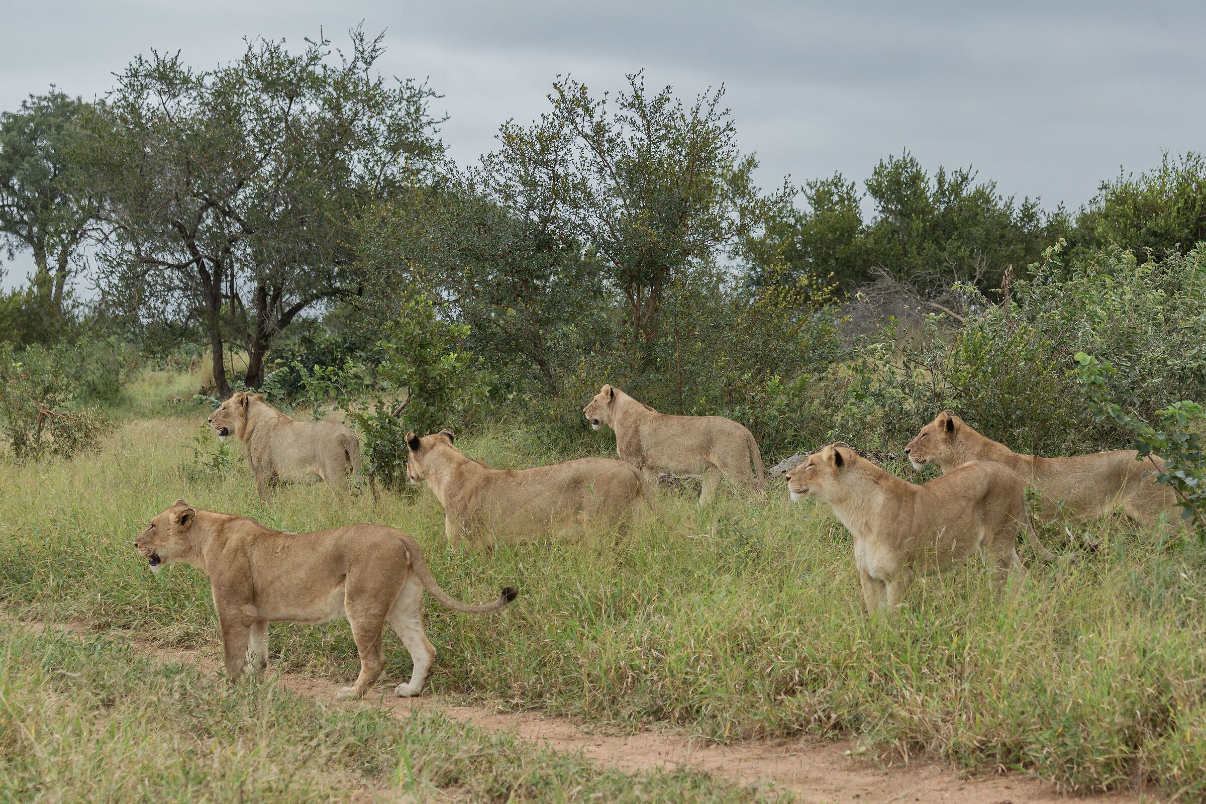 Ehi dove guardate.. sono qui!!!!