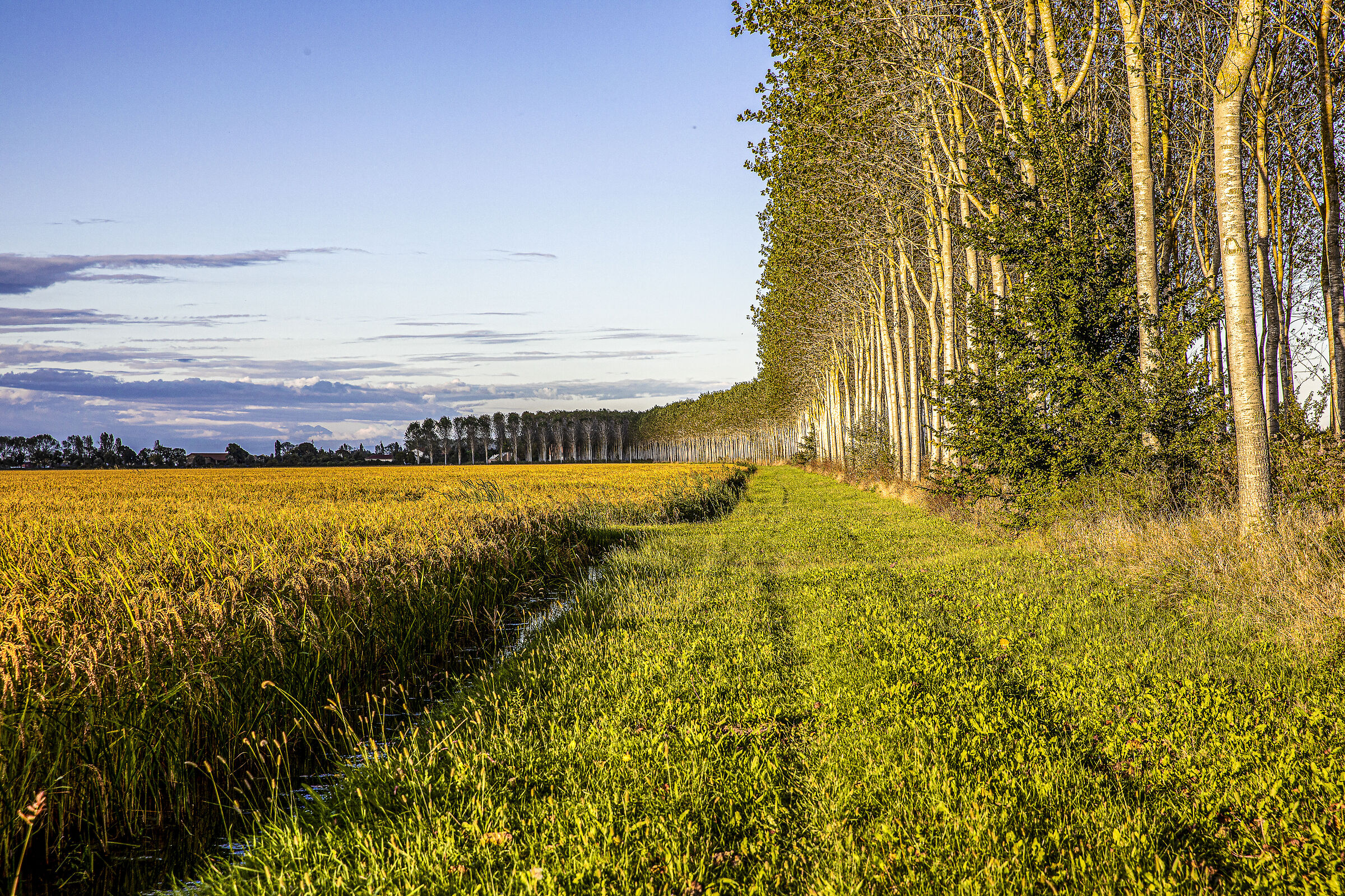 Primi passi verso l'autunno