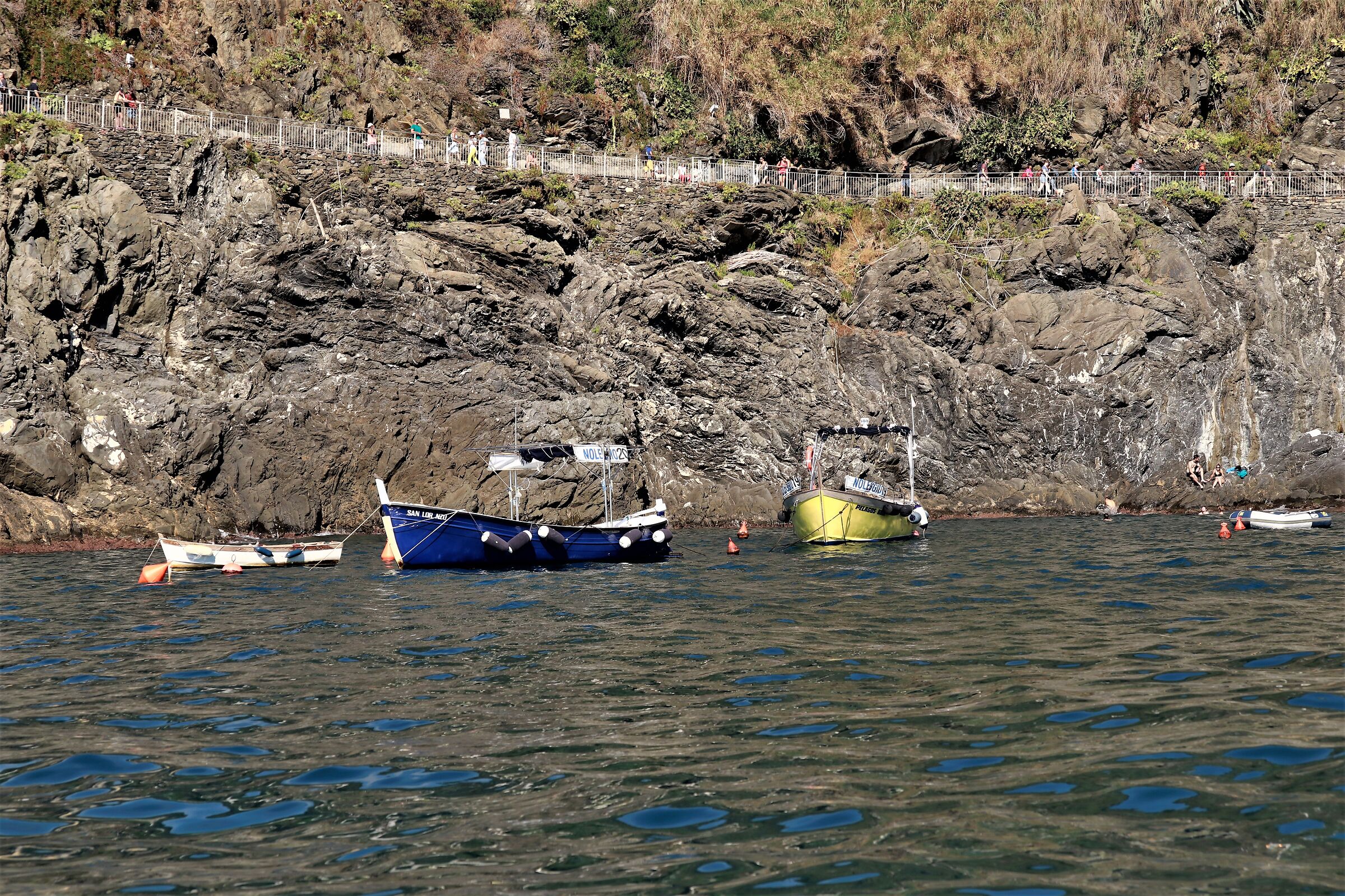 " La Via dell'Amore" ( Cinque Terre)