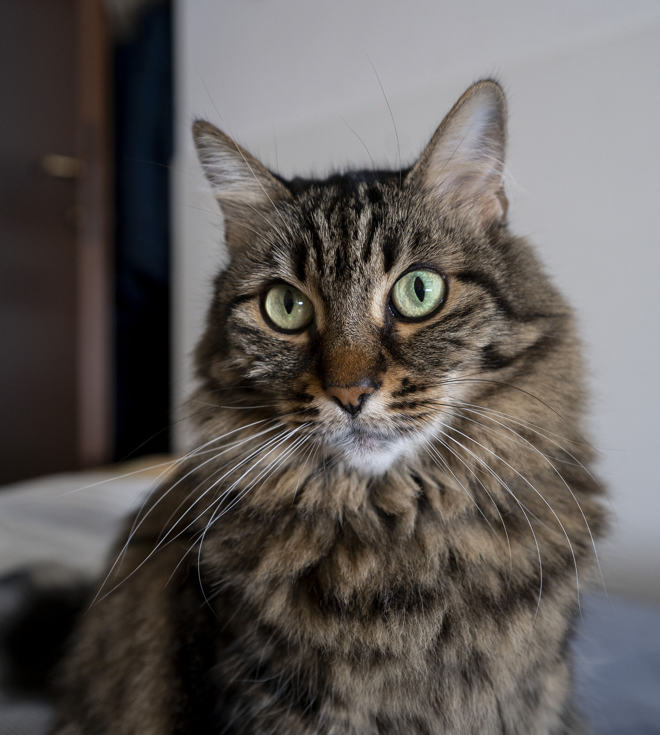 First photo taken by the a7iii