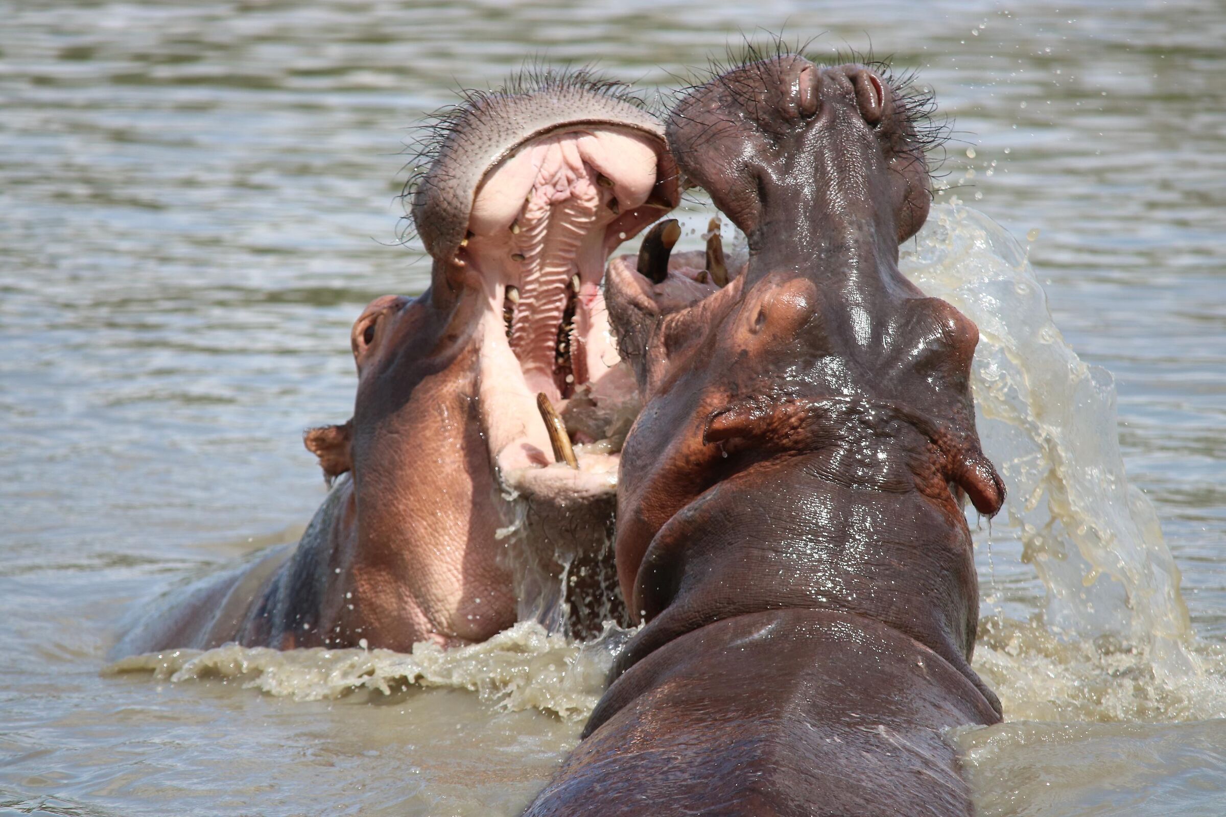 Game between teenagers