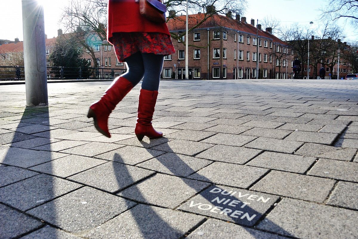 Non alimentare i colombi